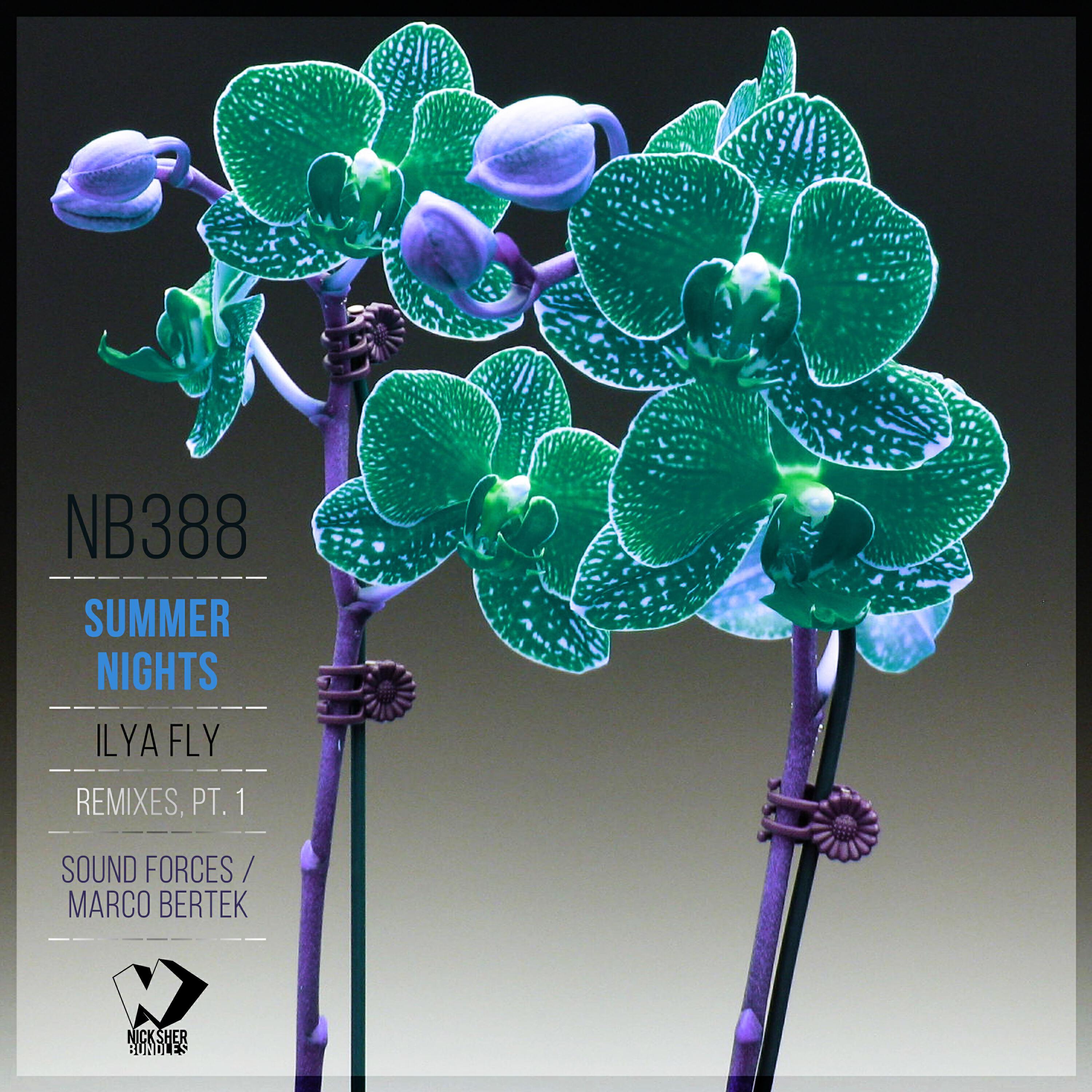 Ilya Fly