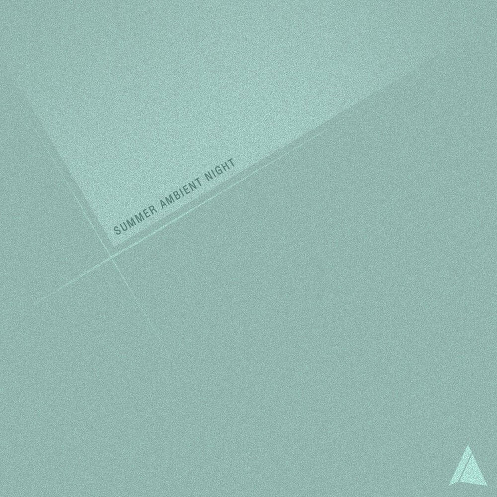 Релиз Summer Ambient Night