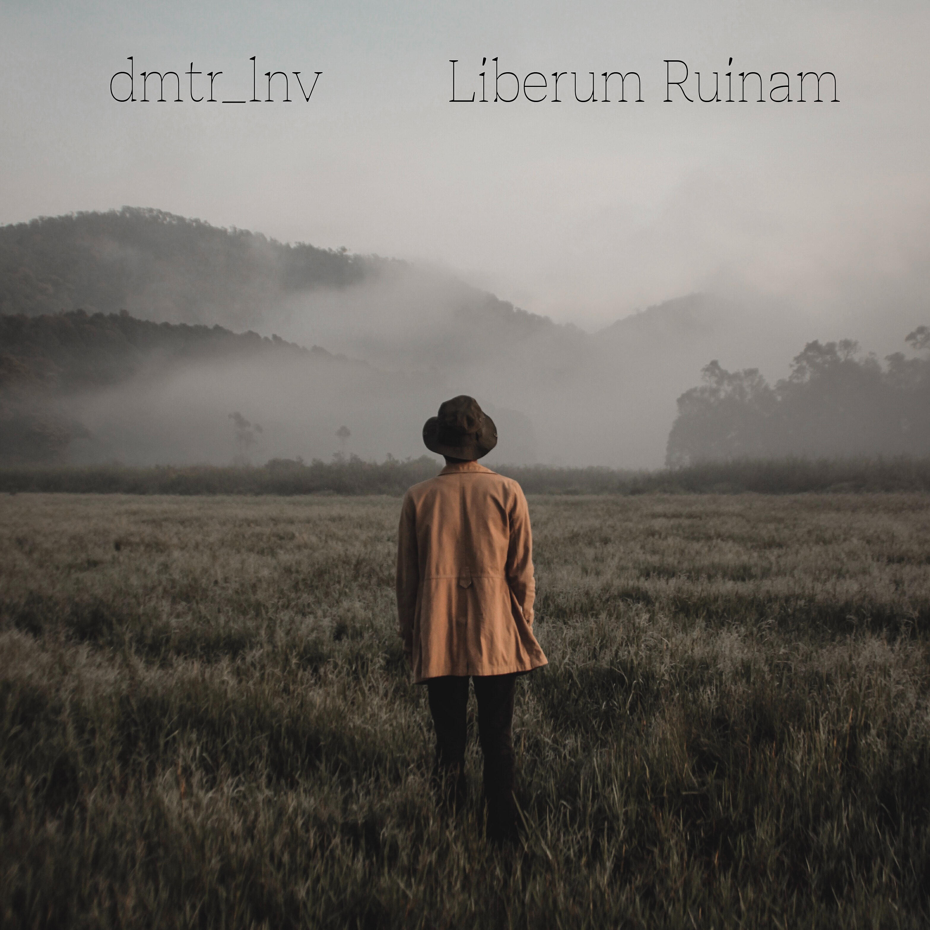 Релиз Liberum Ruinam