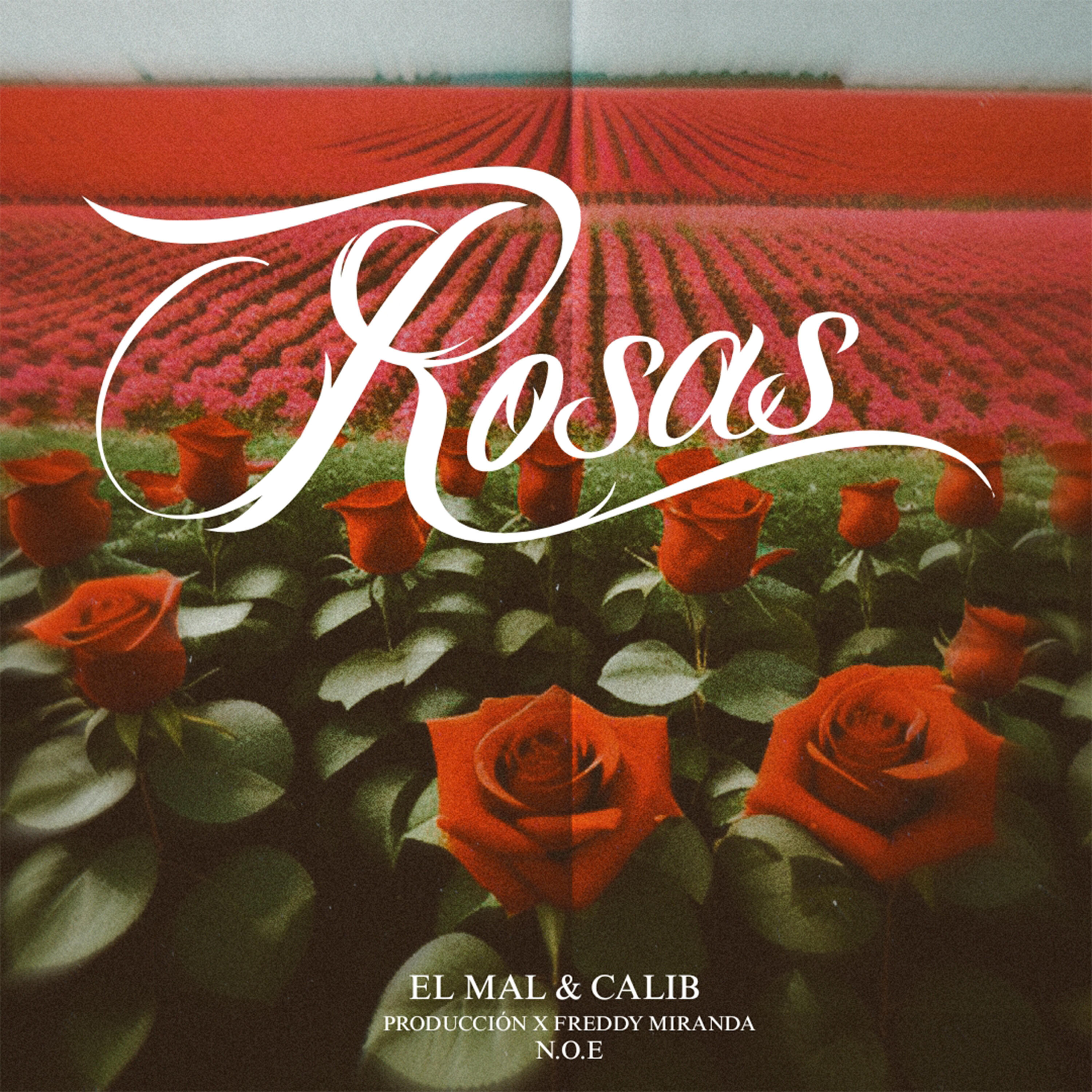 Релиз Rosas