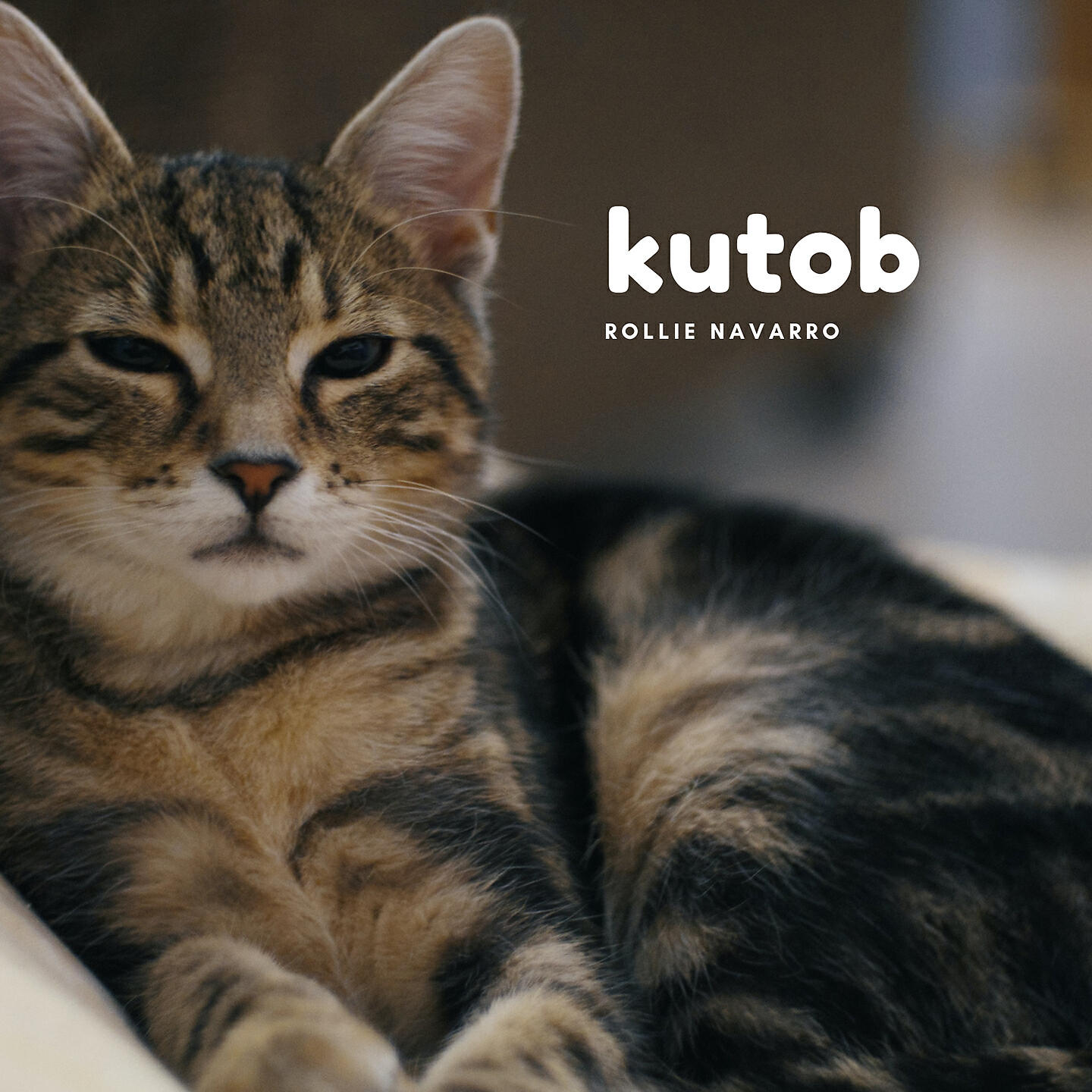 Релиз Kutob