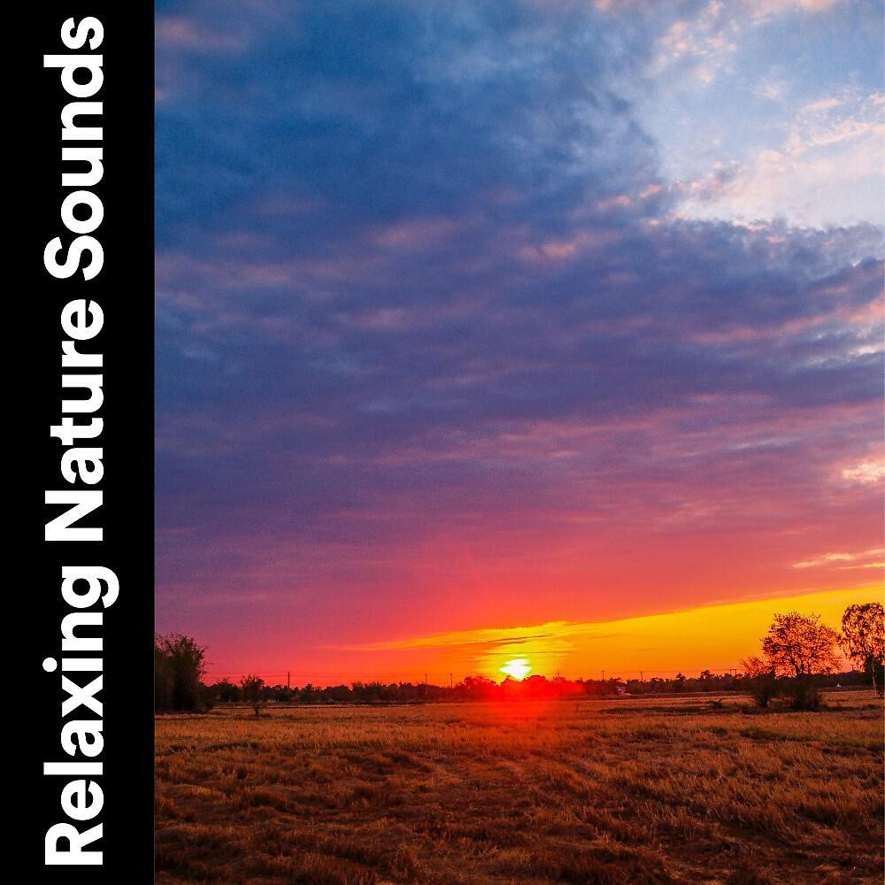Релиз Relaxing Nature Sounds