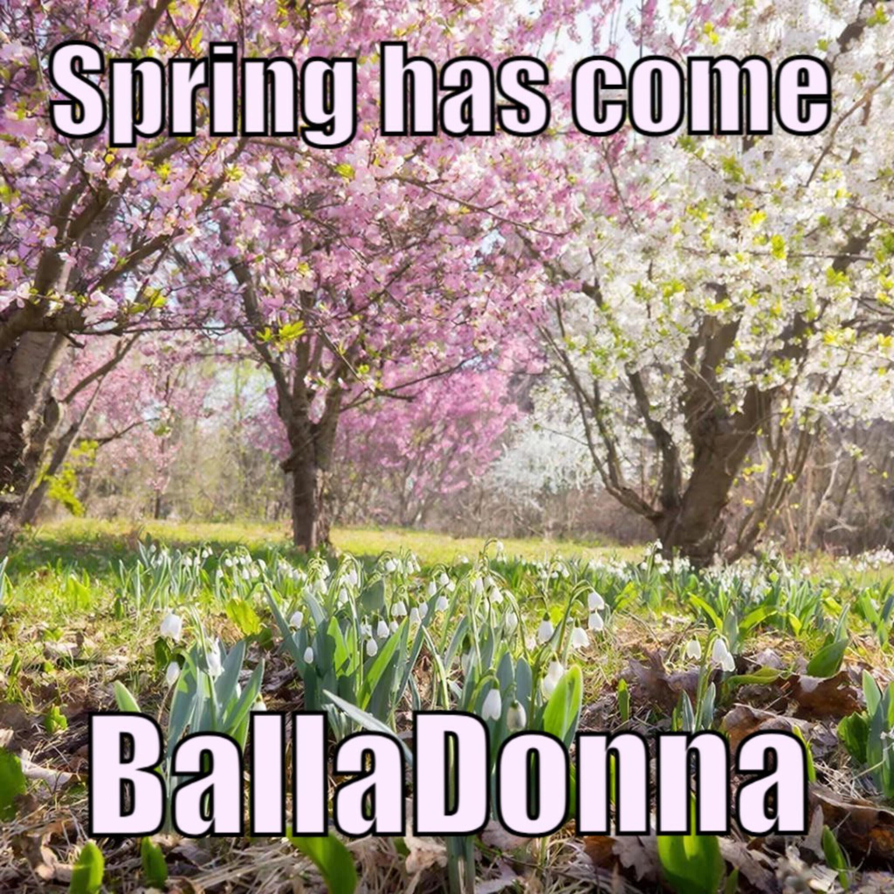 Релиз Spring has come