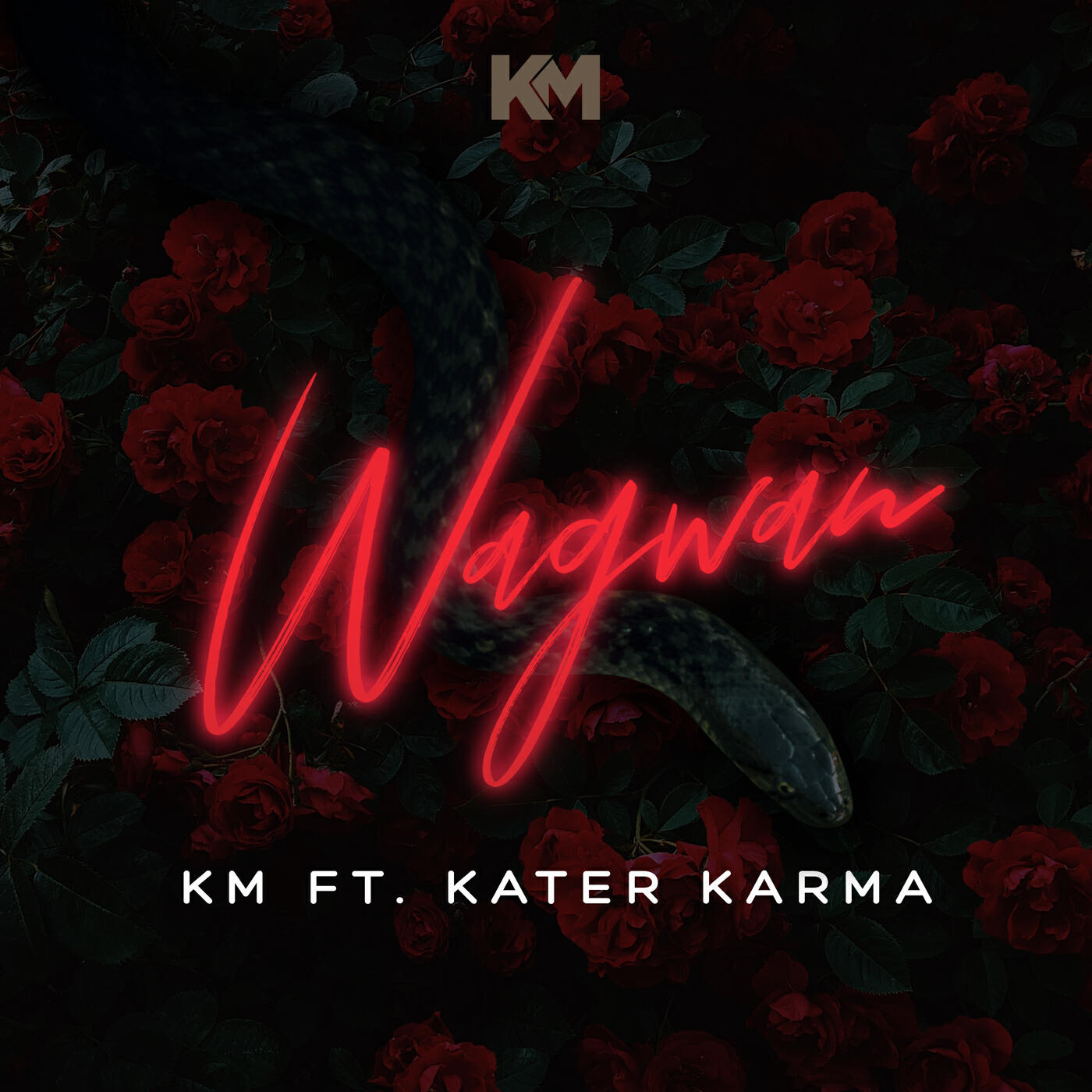 Релиз Wagwan