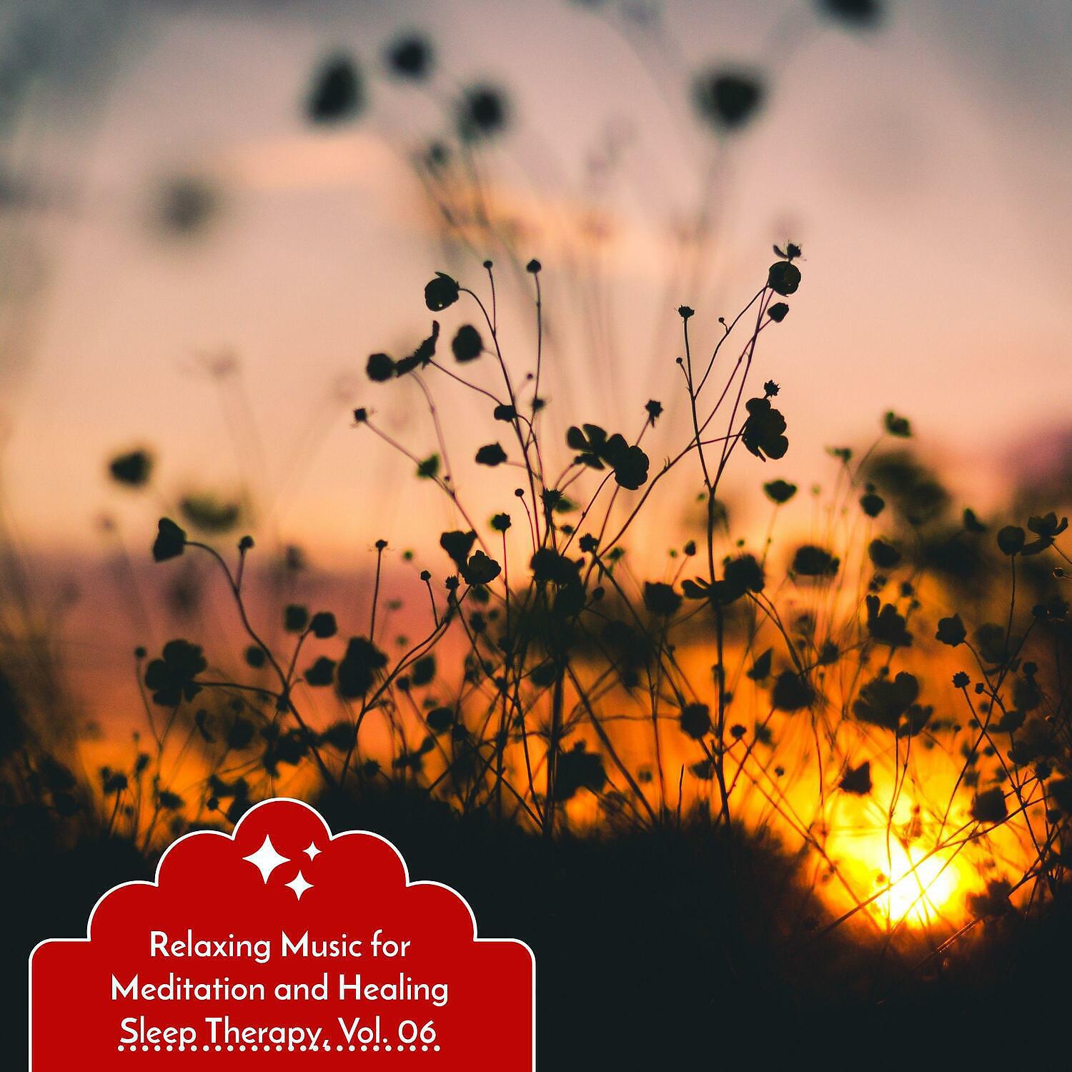 Релиз Relaxing Music for Meditation and Healing Sleep Therapy, Vol. 06