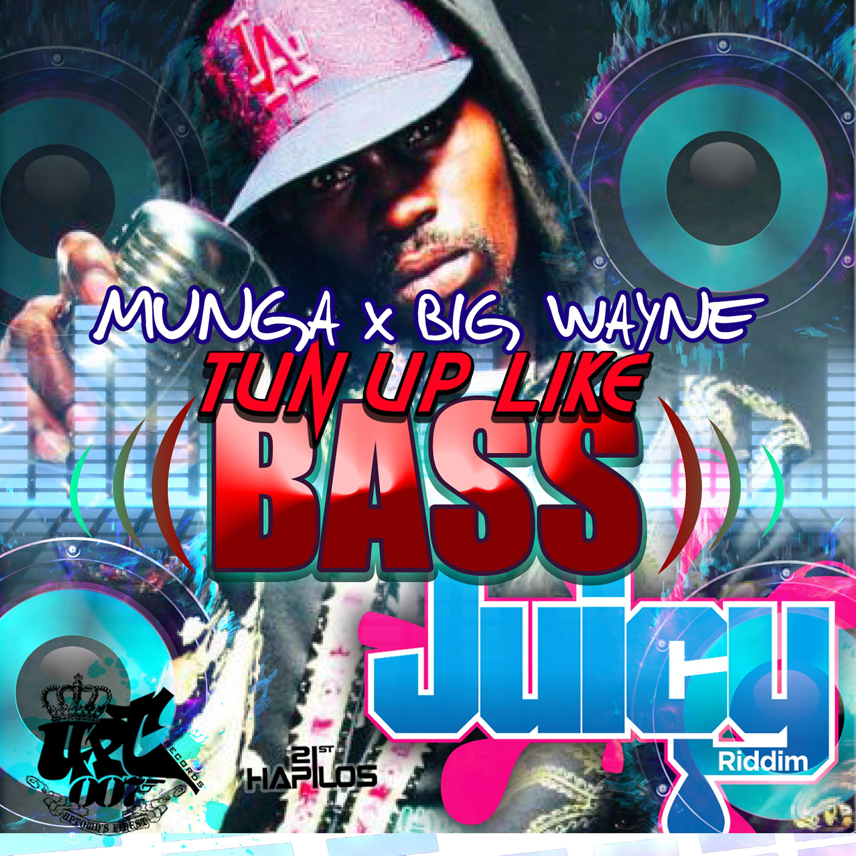 Релиз Tun up Like Bass