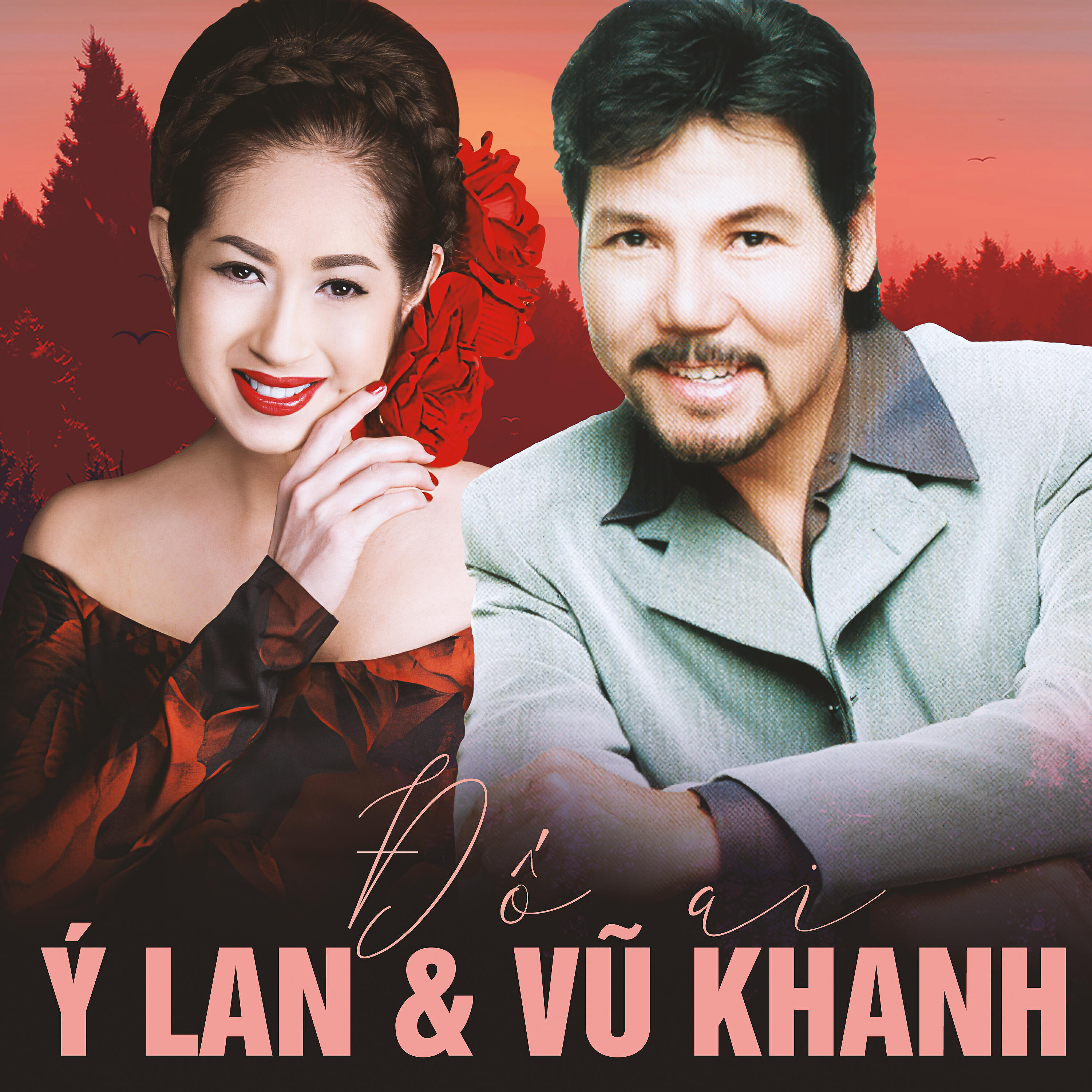 Релиз Đố Ai