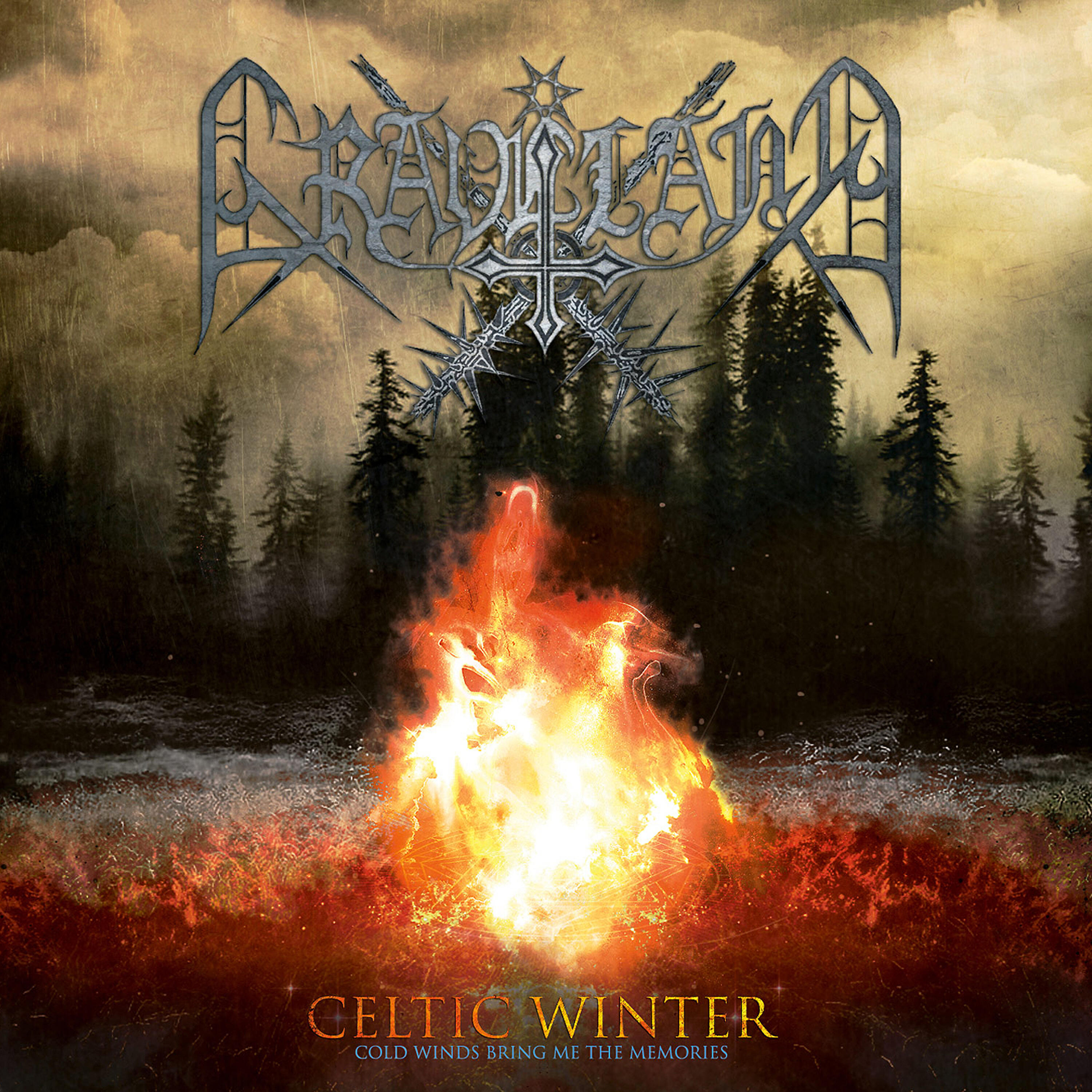 Постер альбома Celtic Winter