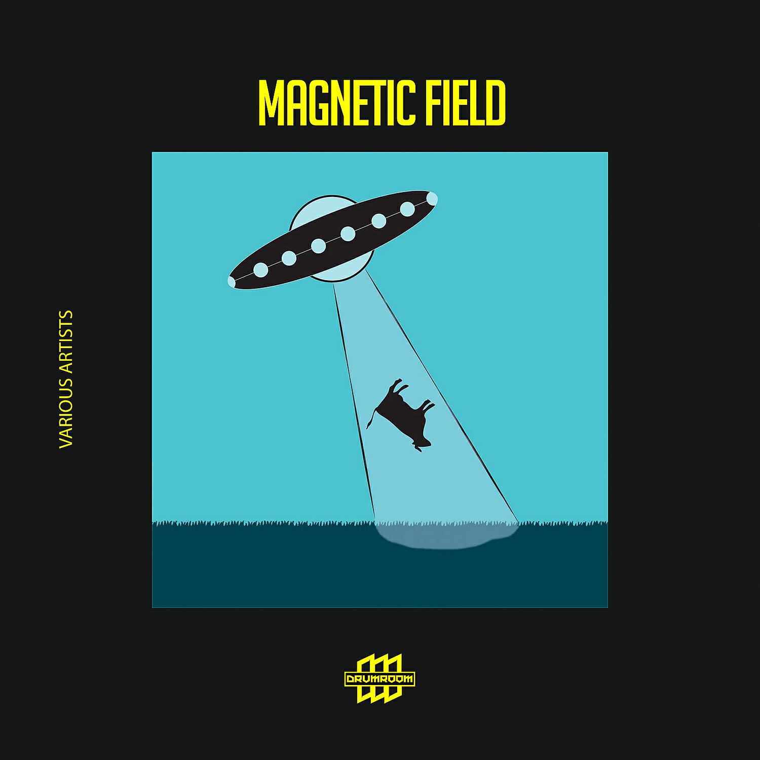 Релиз Magnetic Field