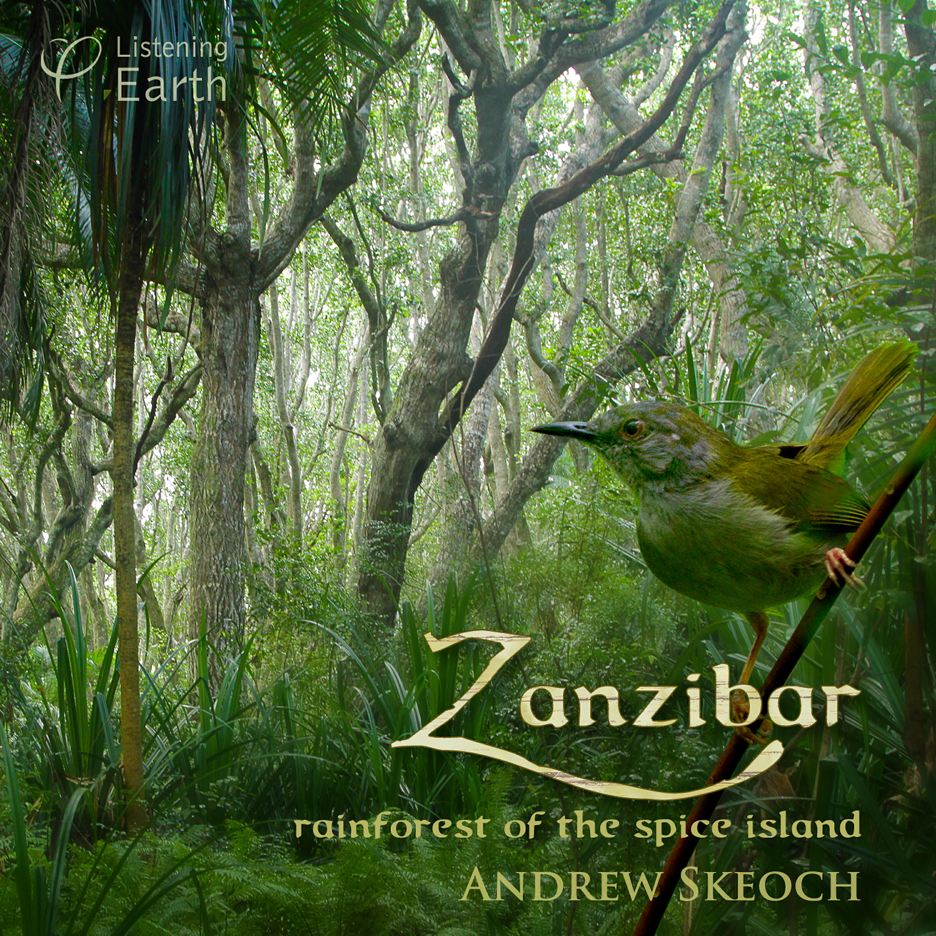 Релиз Zanzibar - Rainforest of the Spice Island
