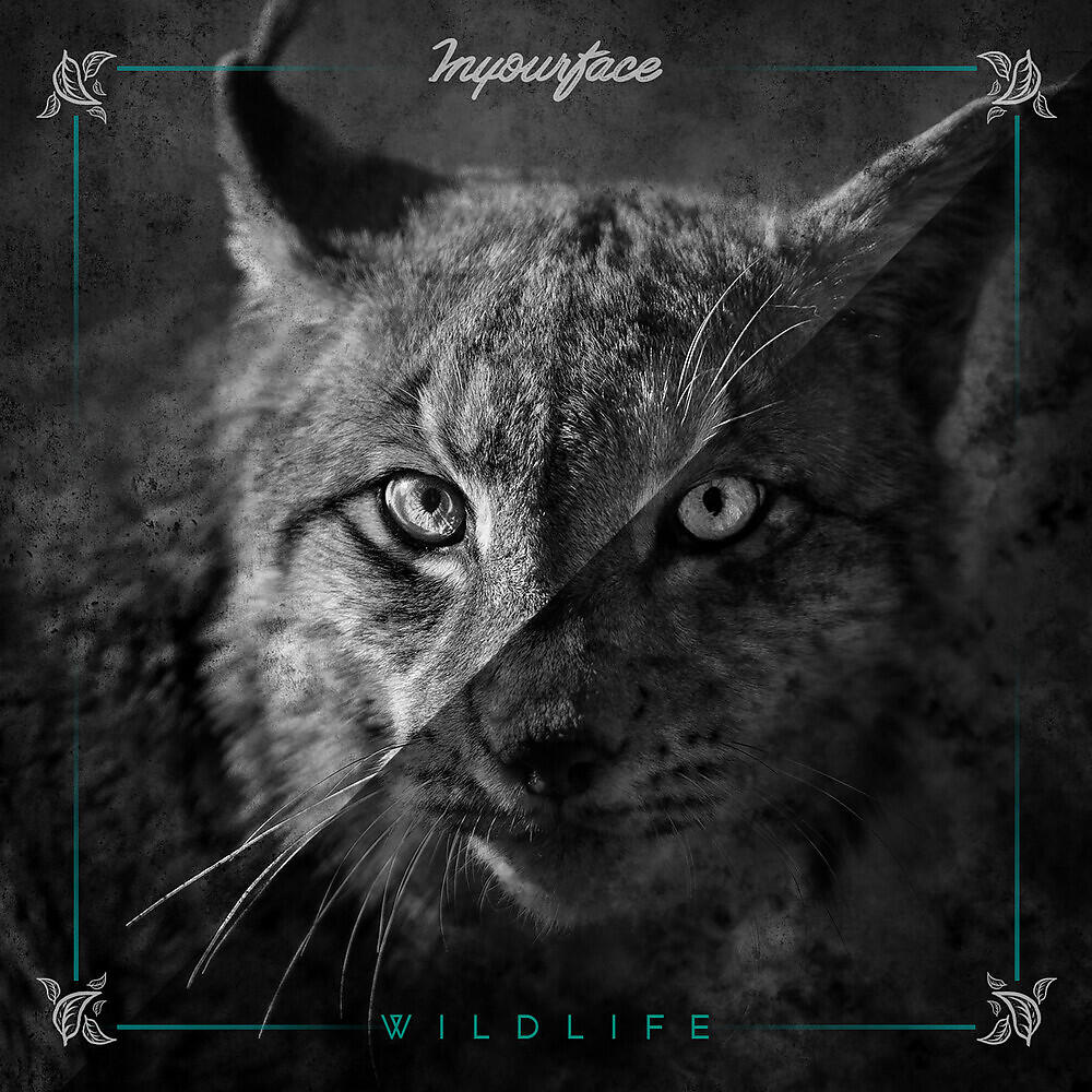 Релиз Wildlife