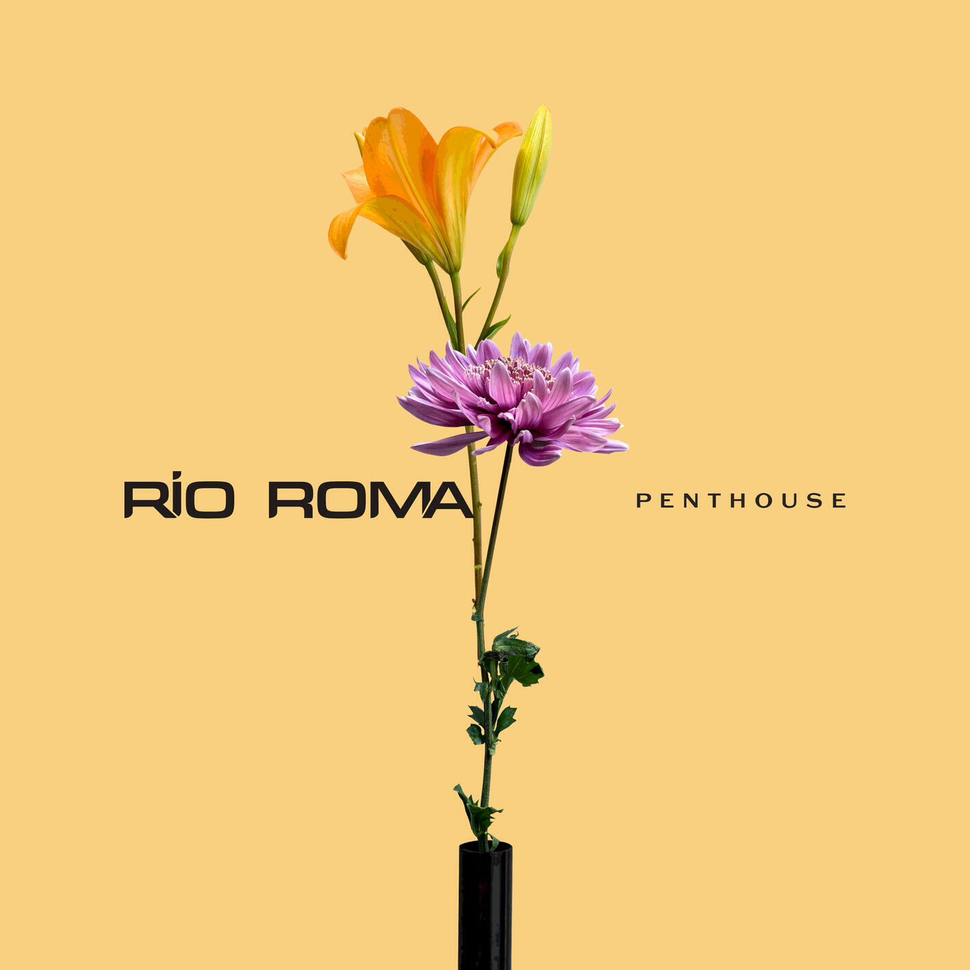Релиз Penthouse
