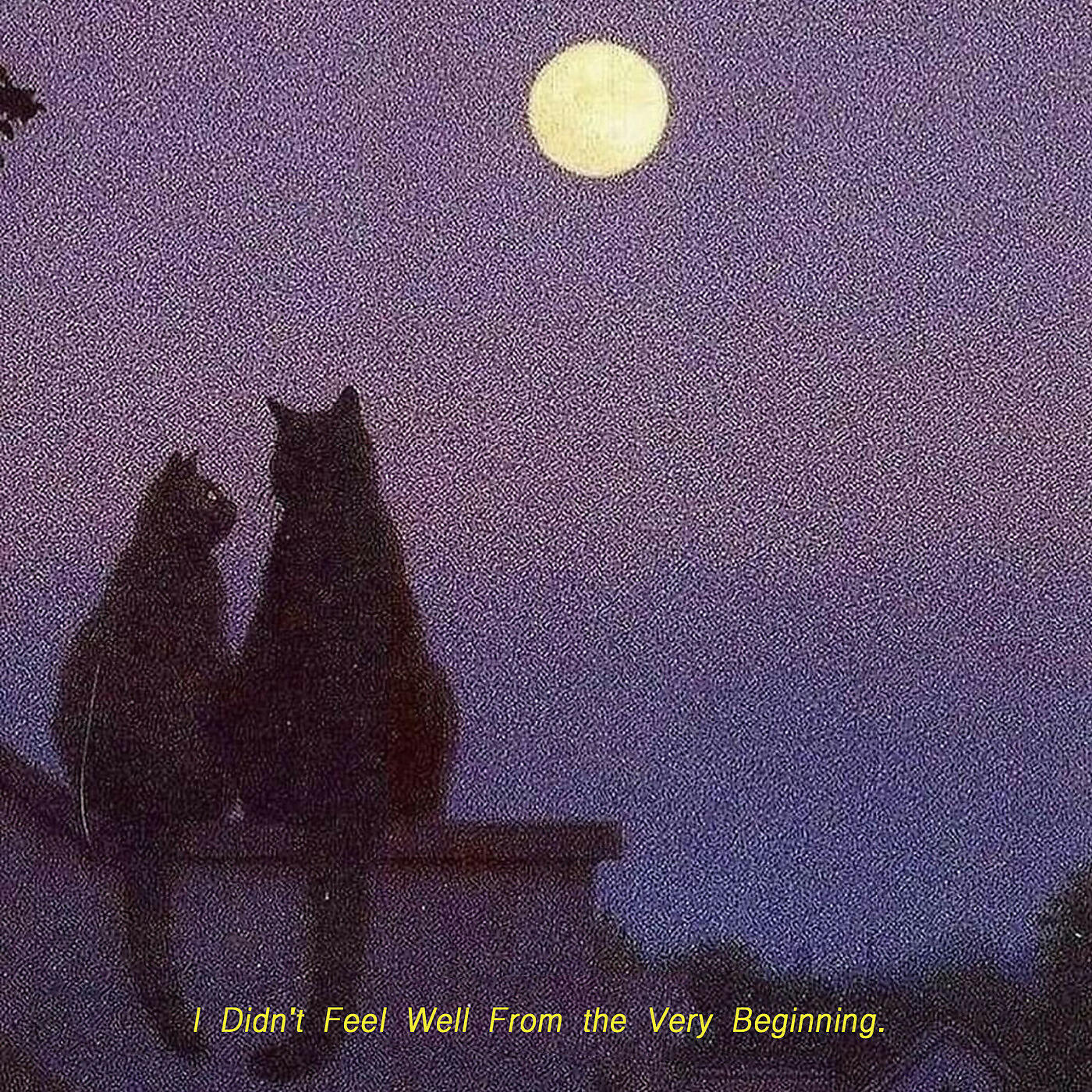 Релиз I Didn't Feel Well from the Very Beginning