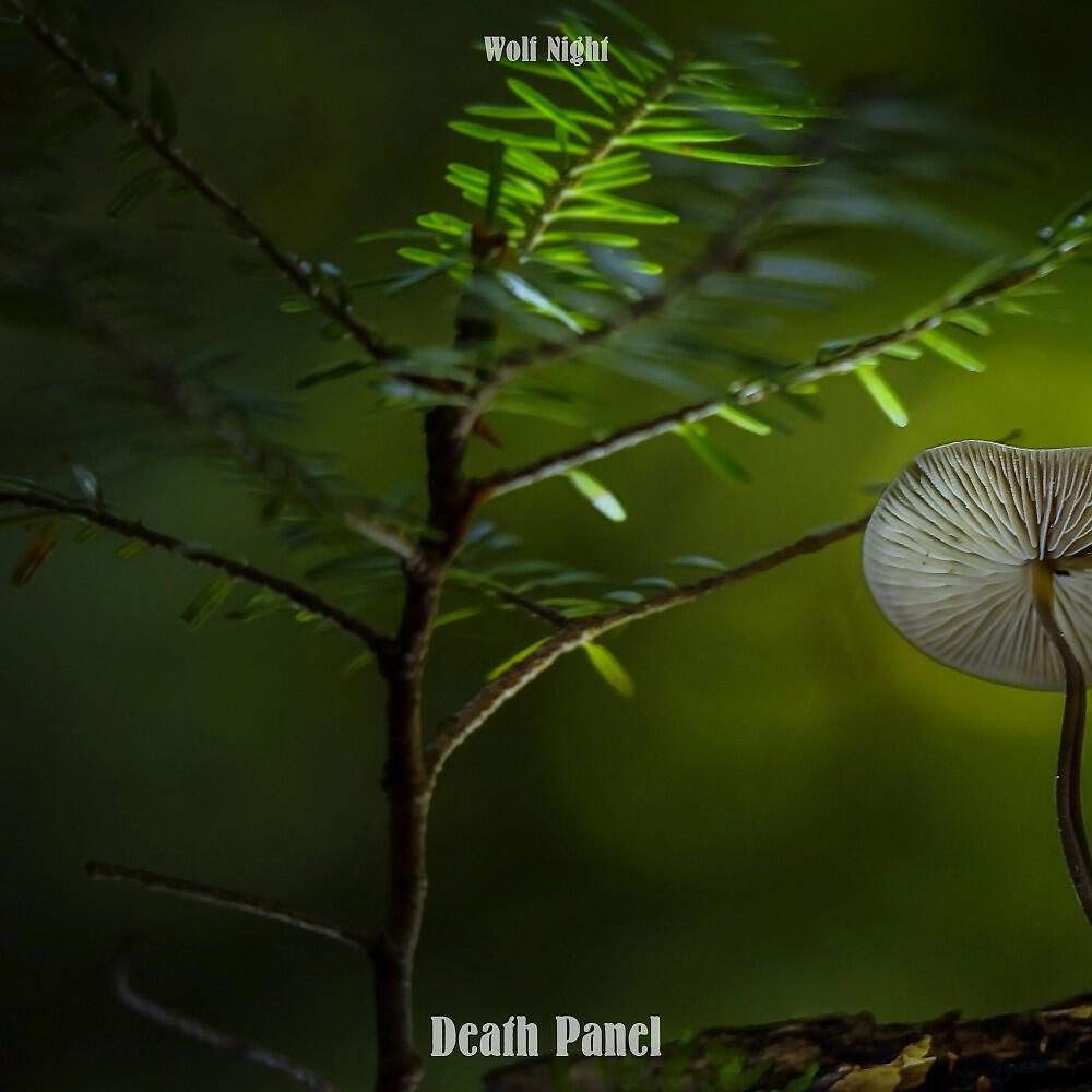 Релиз Death Panel