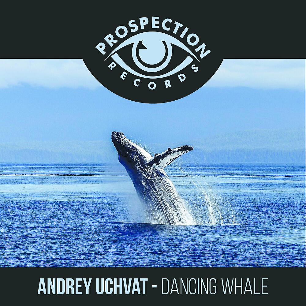 Релиз Dancing Whale