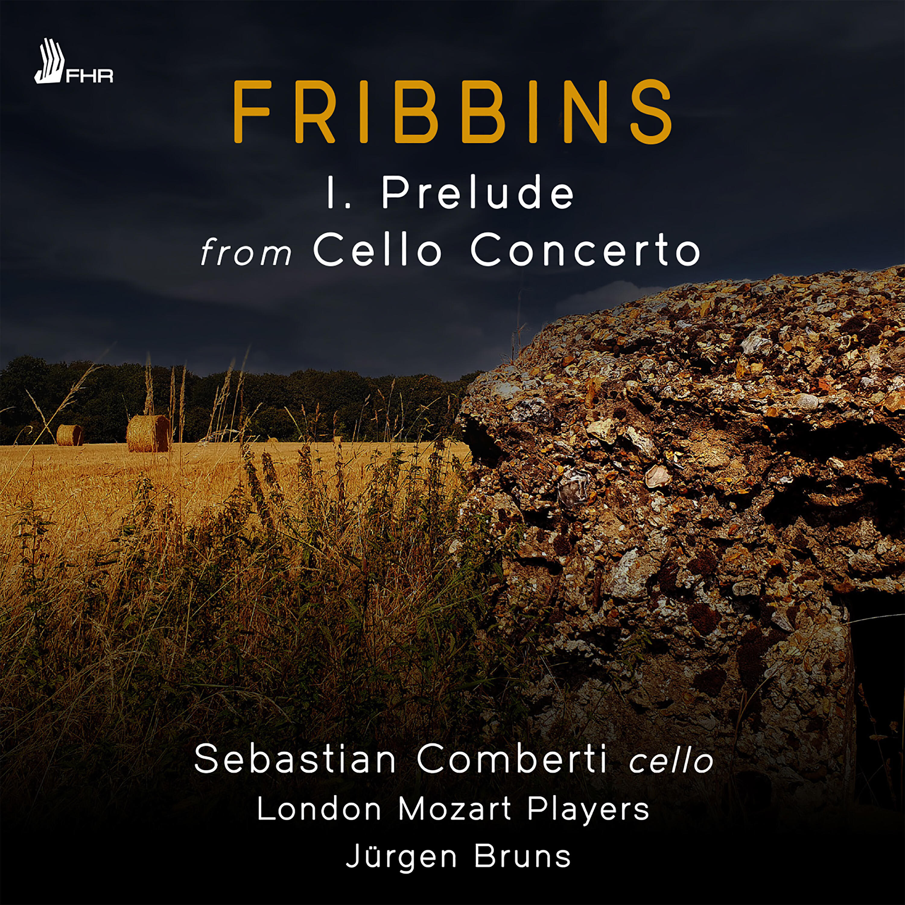 Peter Fribbins