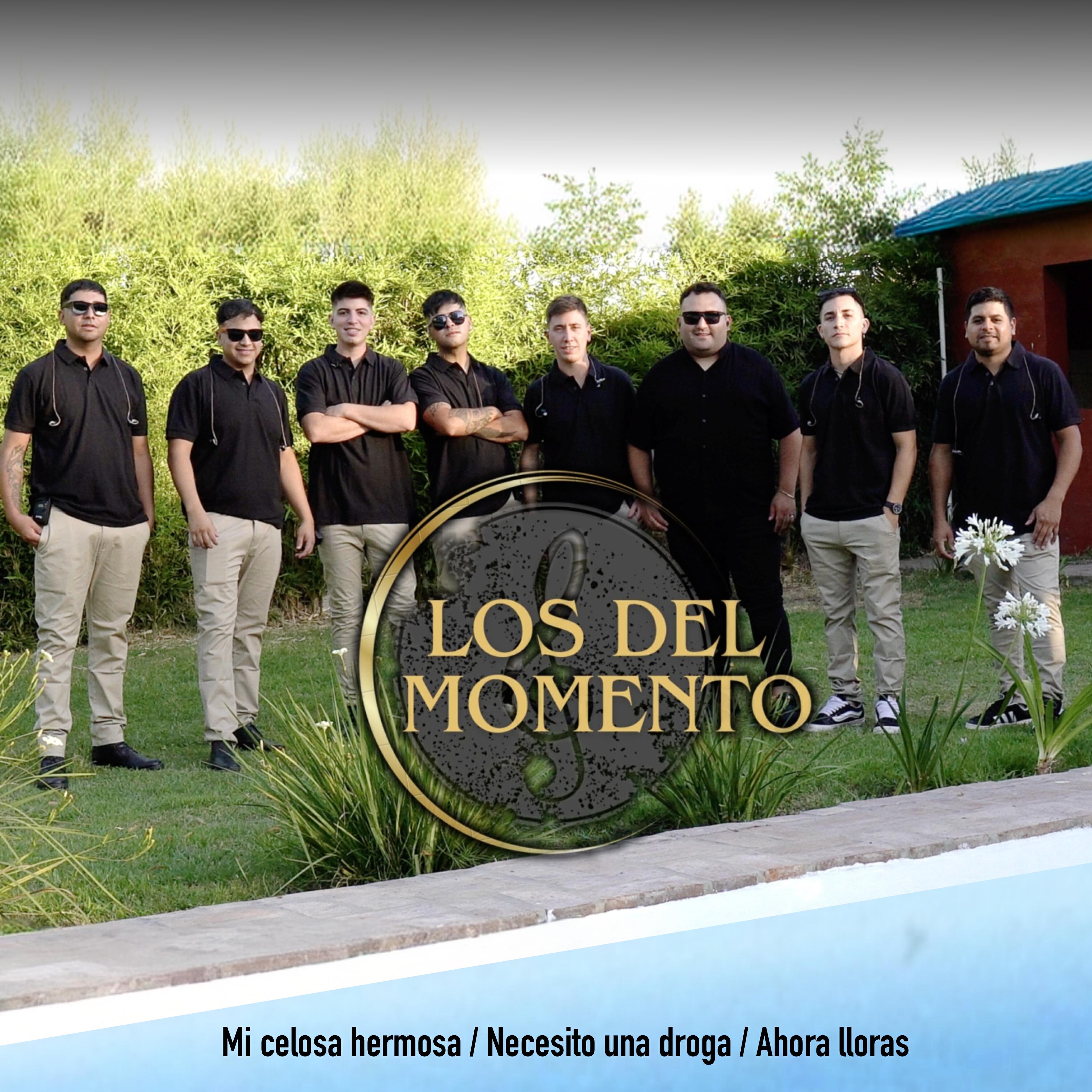 Los del Momento