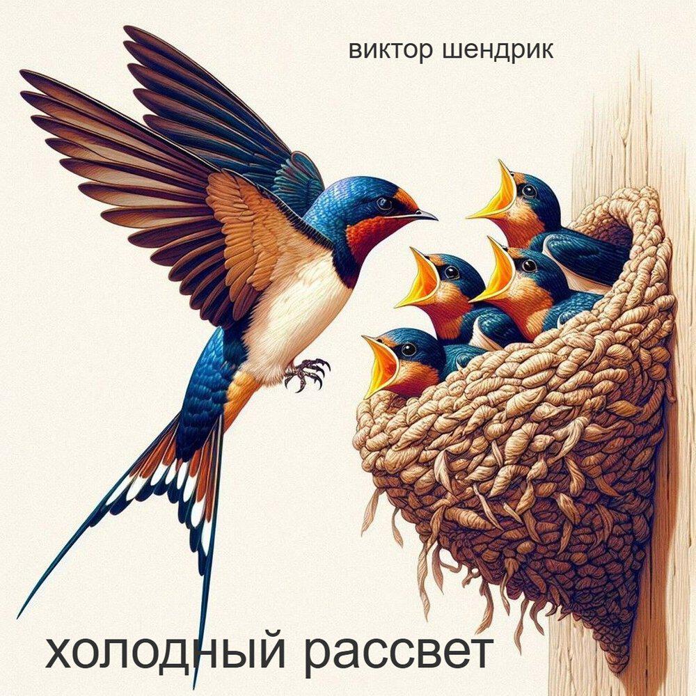Релиз холодный рассвет