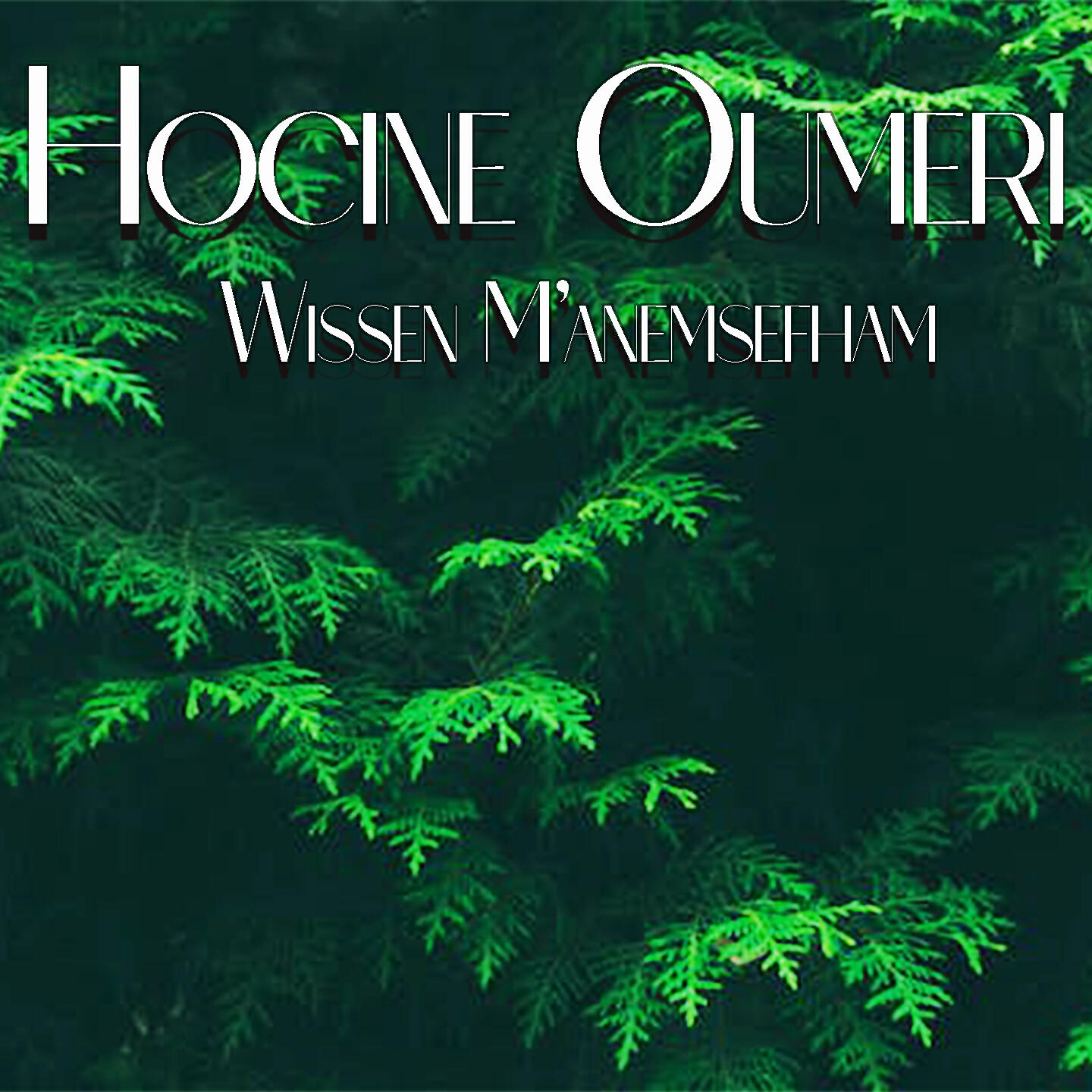 Релиз Wissen M'anemsefham