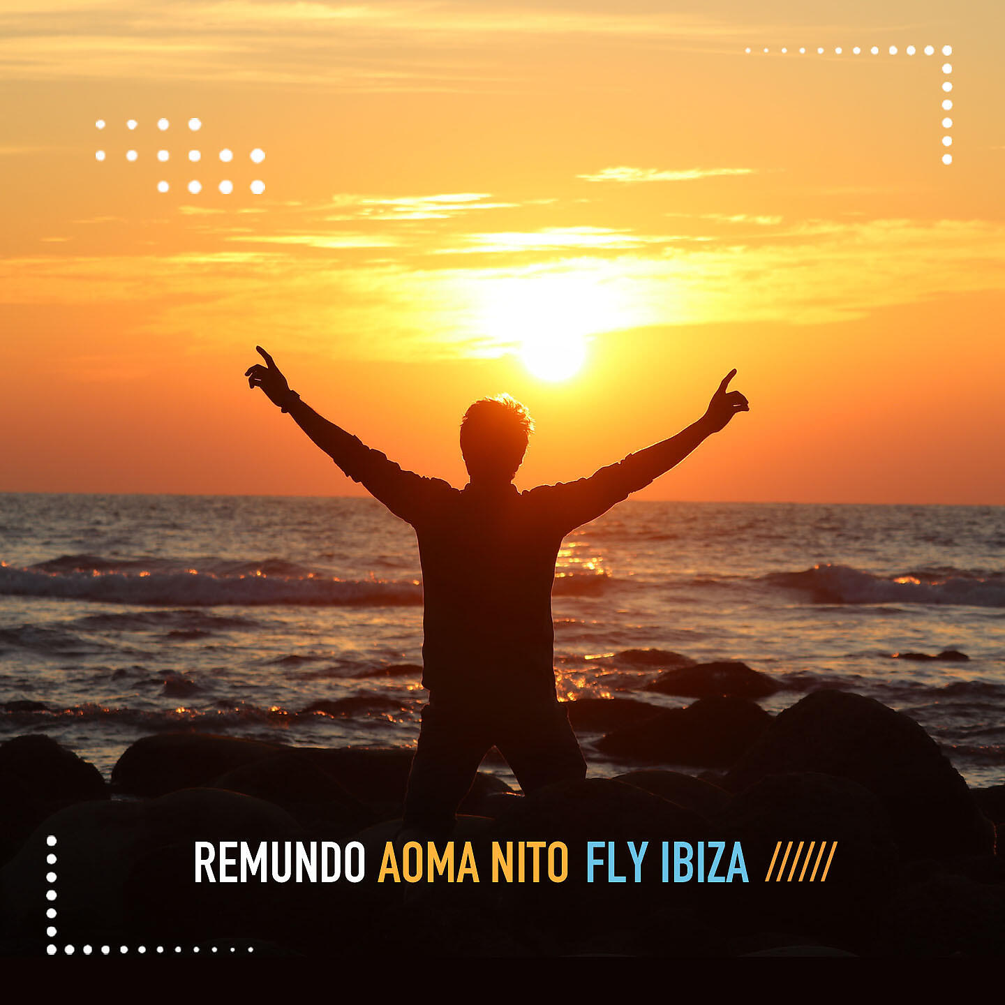 Постер альбома Fly Ibiza