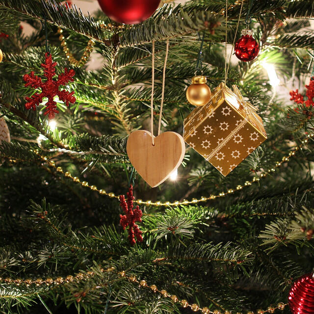 Релиз Family Christmas 2018: Santa's Sleigh Is on the Way!