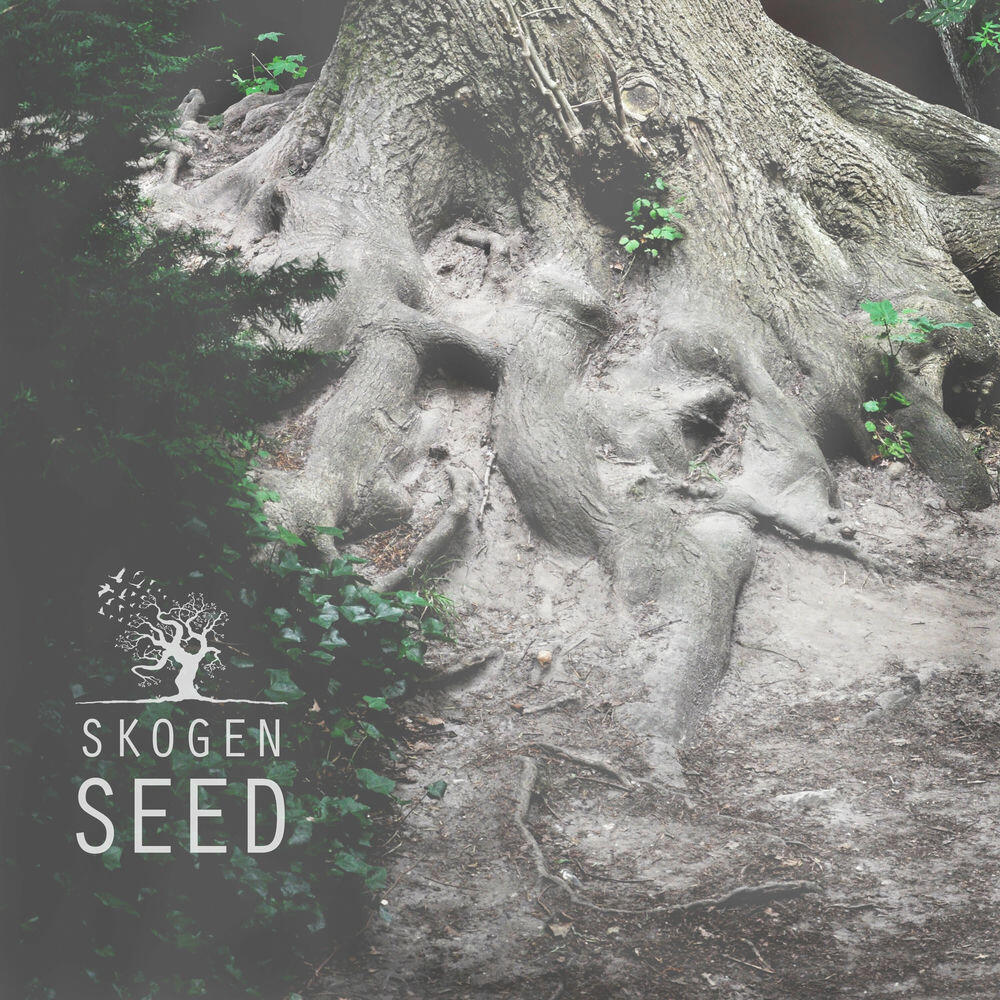 Релиз Seed