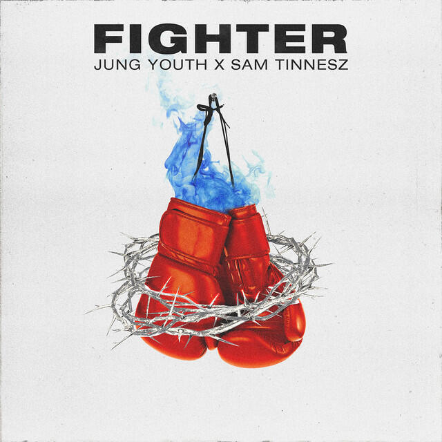 Постер альбома Fighter