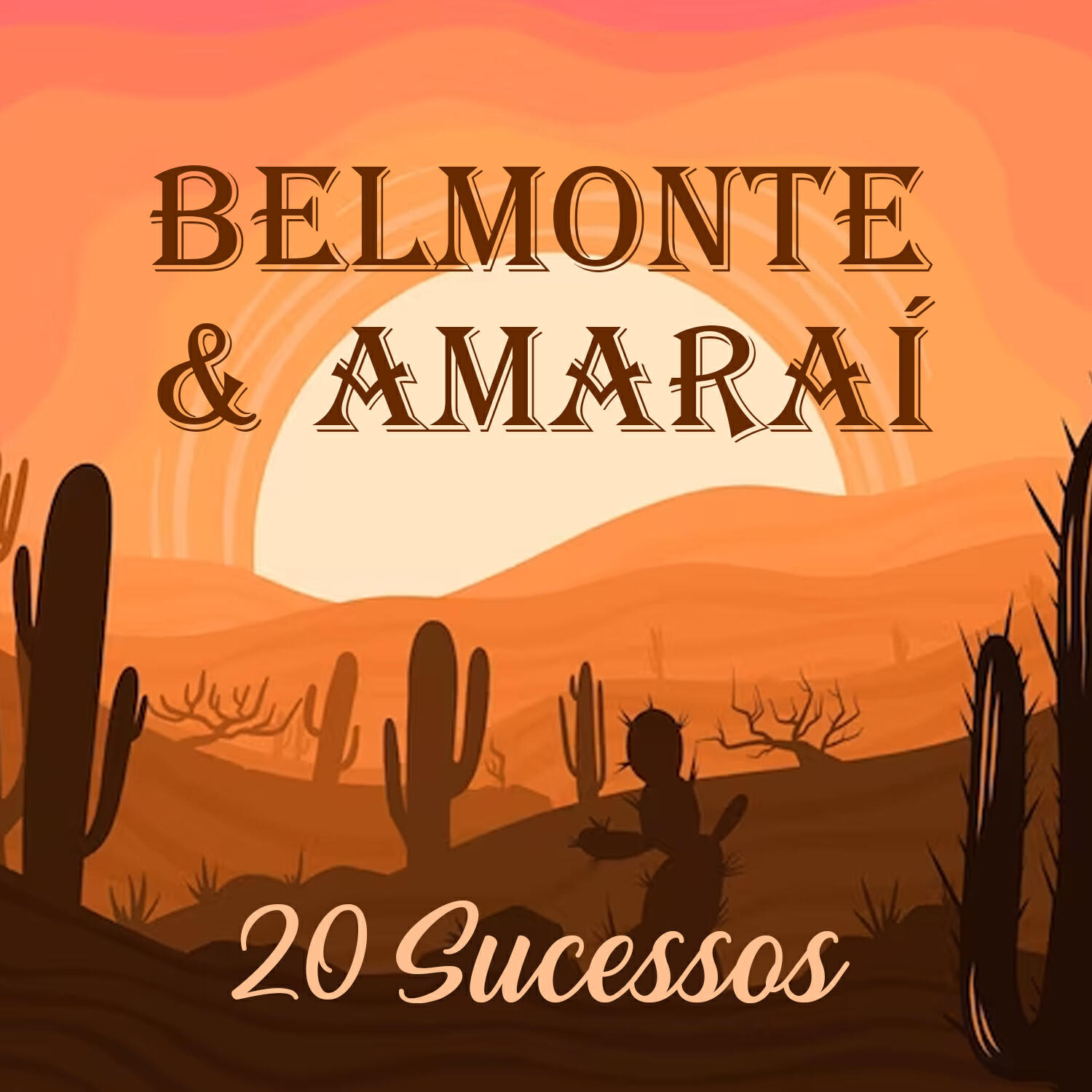 Релиз 20 Sucessos