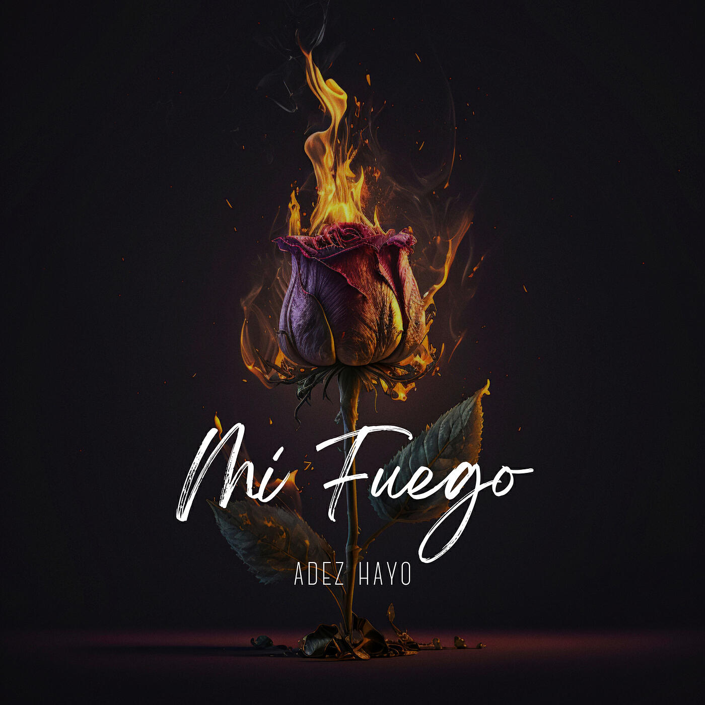 Постер альбома Mi Fuego