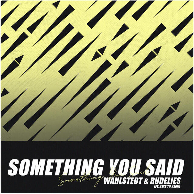 Релиз Something You Said