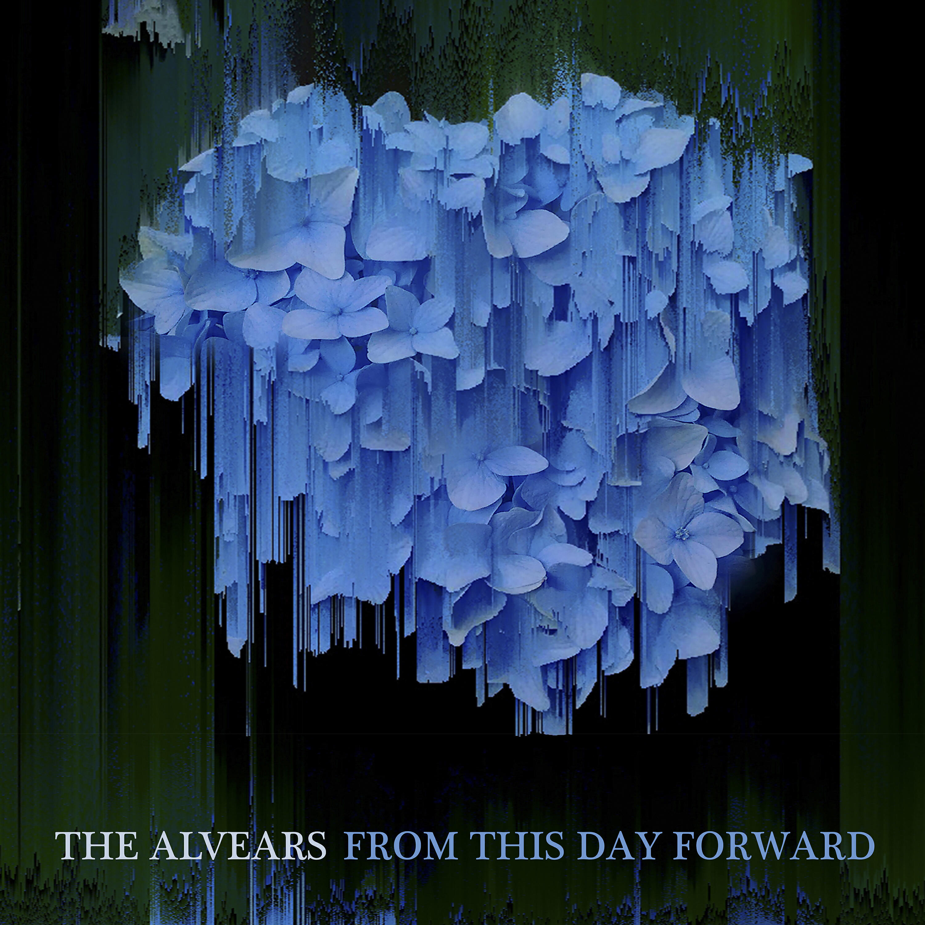 The Alvears