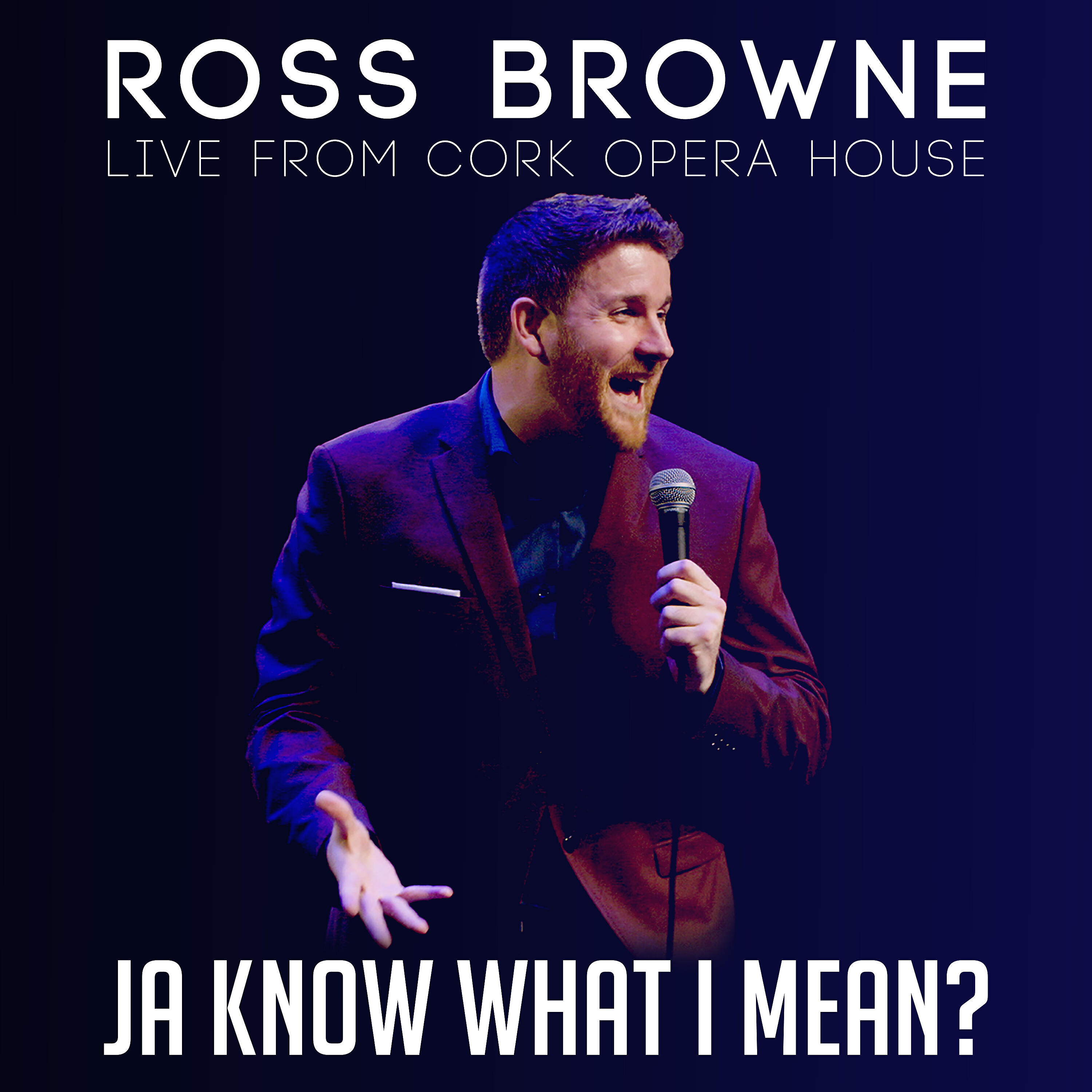 Релиз Ja Know What I Mean?