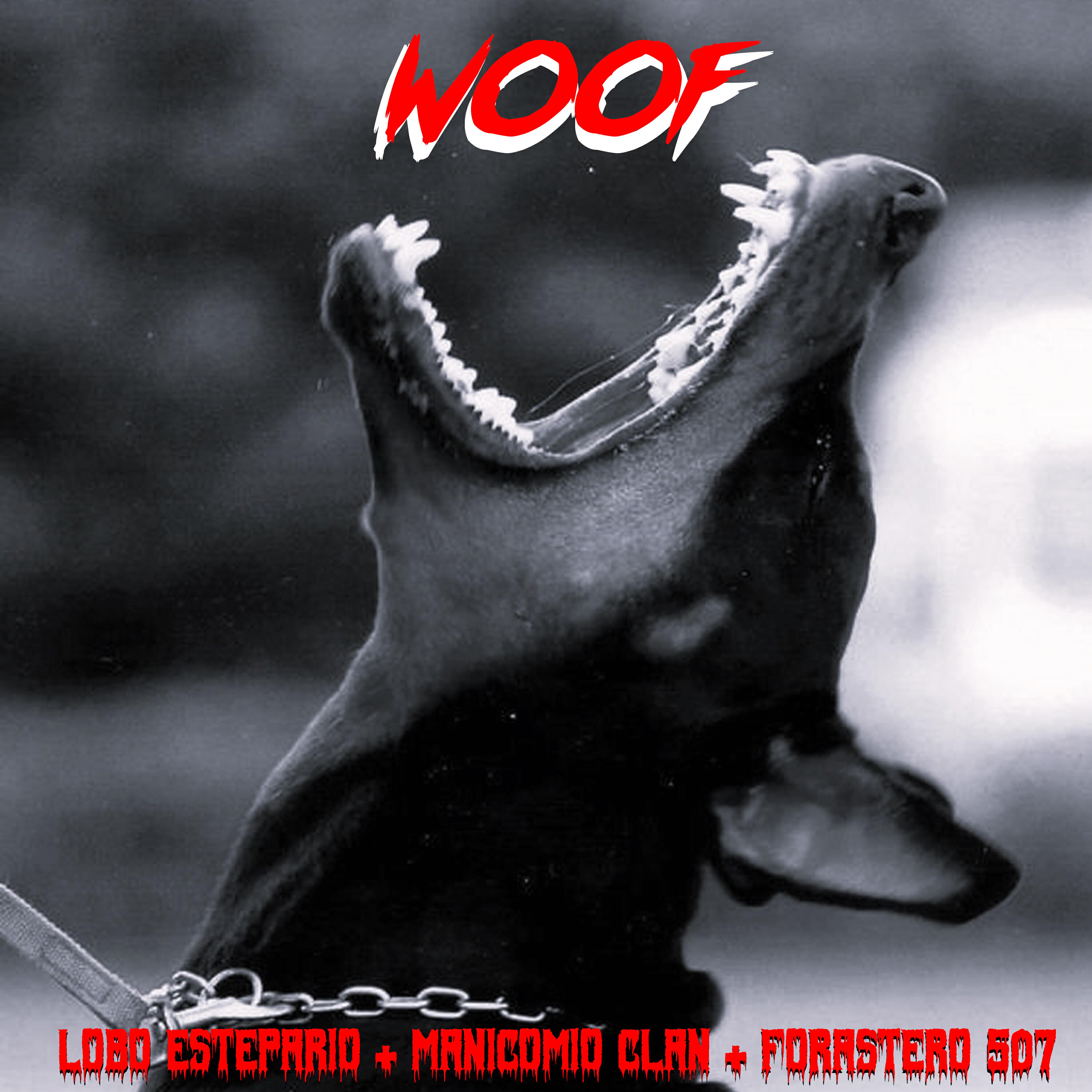 Релиз Woof