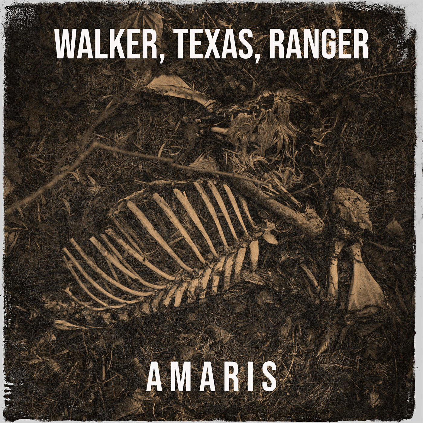 Релиз Walker, Texas, Ranger