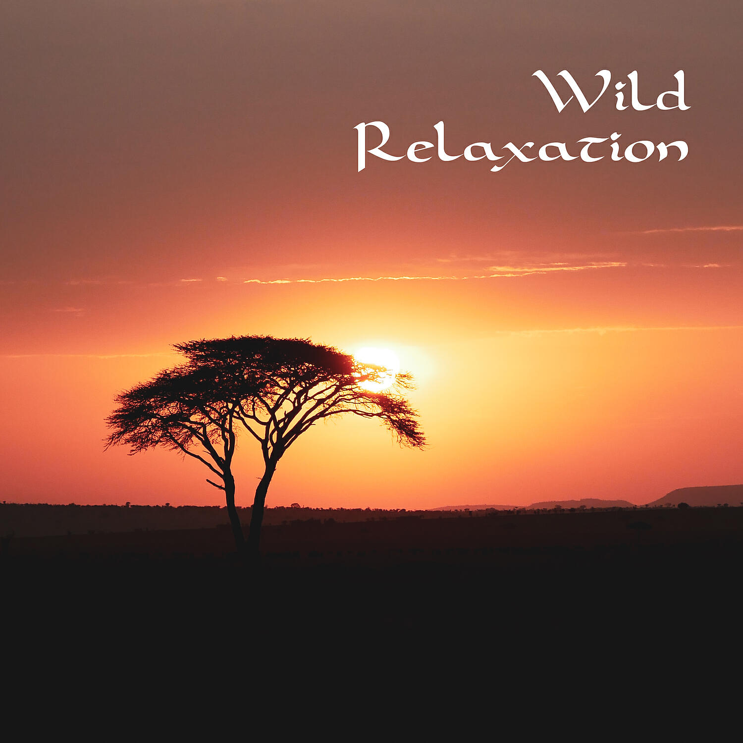 Релиз Wild Relaxation