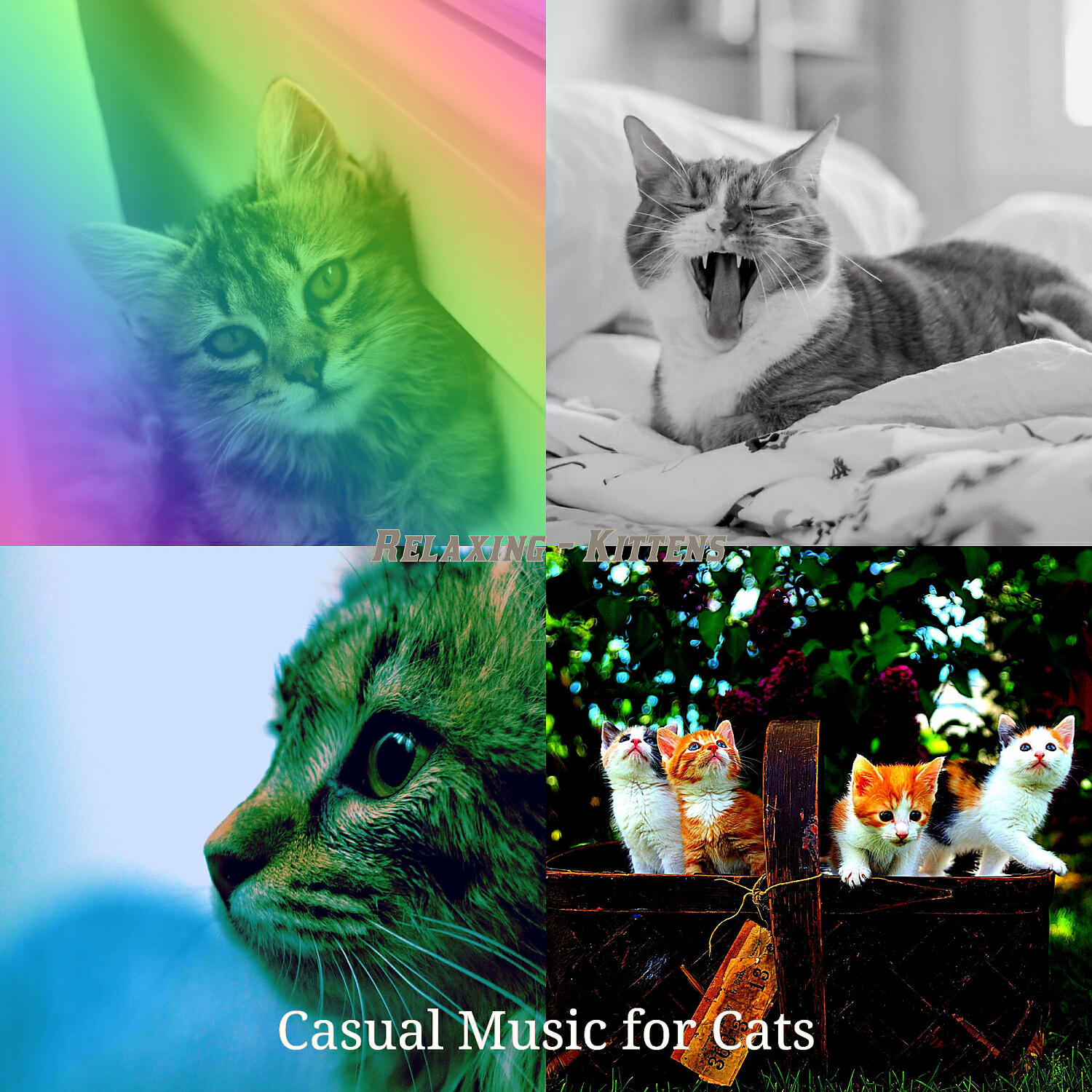 Релиз Relaxing - Kittens