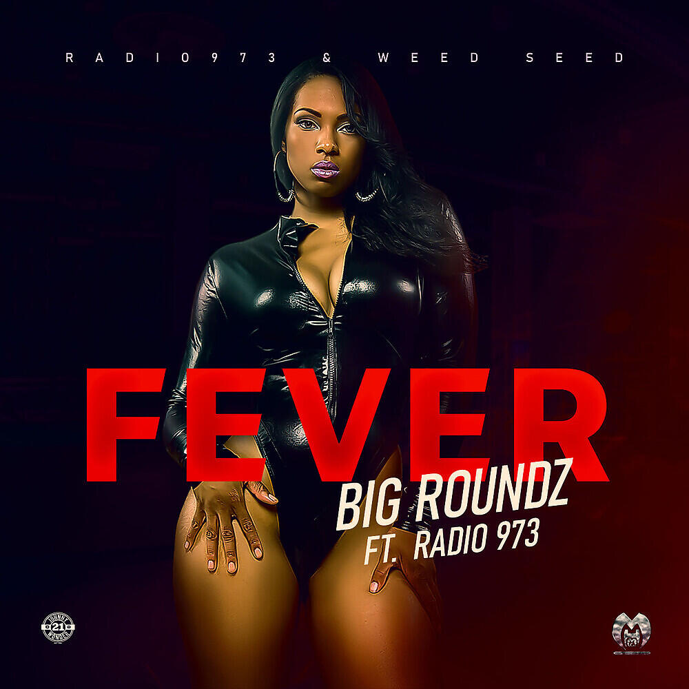 Релиз Fever
