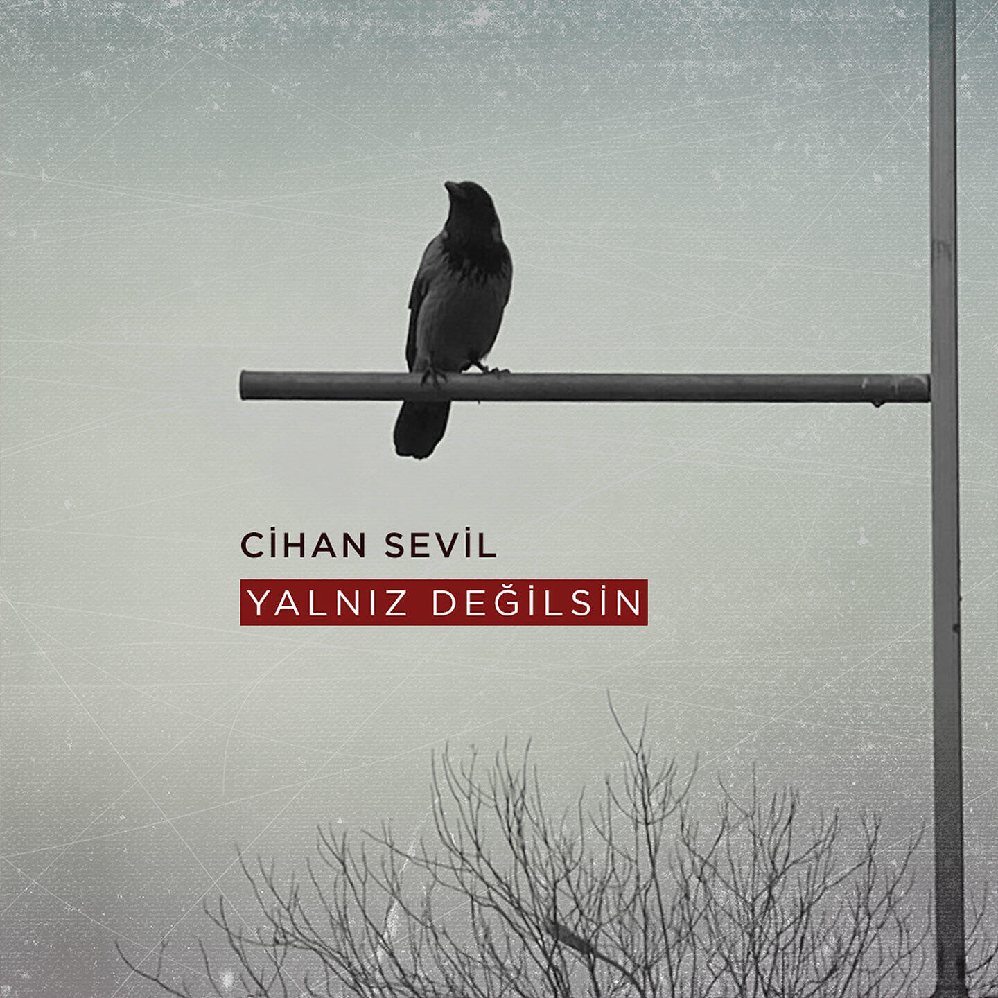 Cihan Sevil