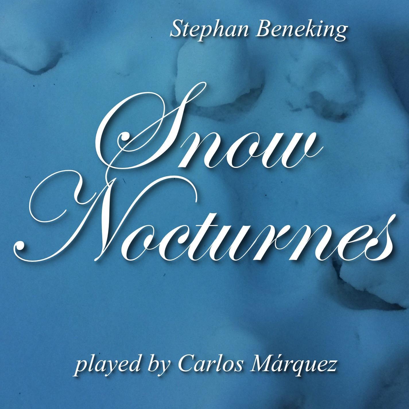Релиз Snow Nocturnes
