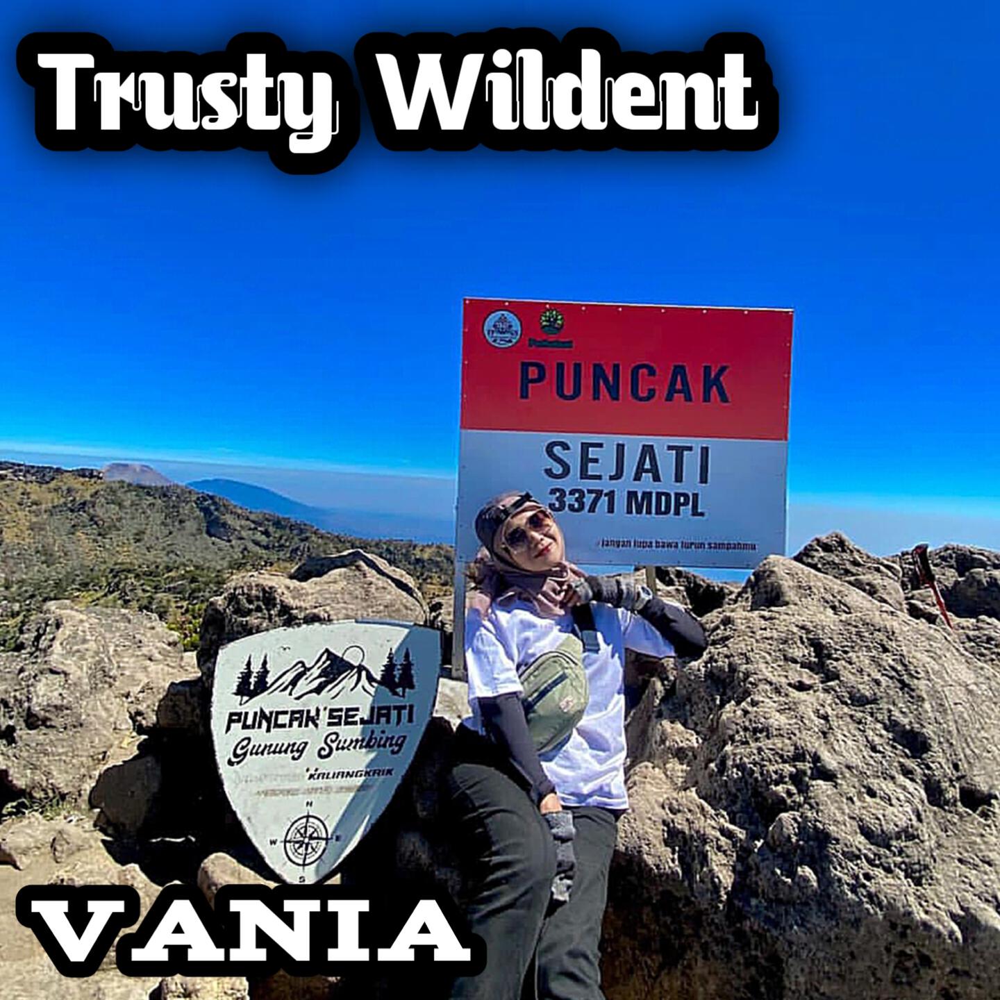 Релиз Trusty Wildent