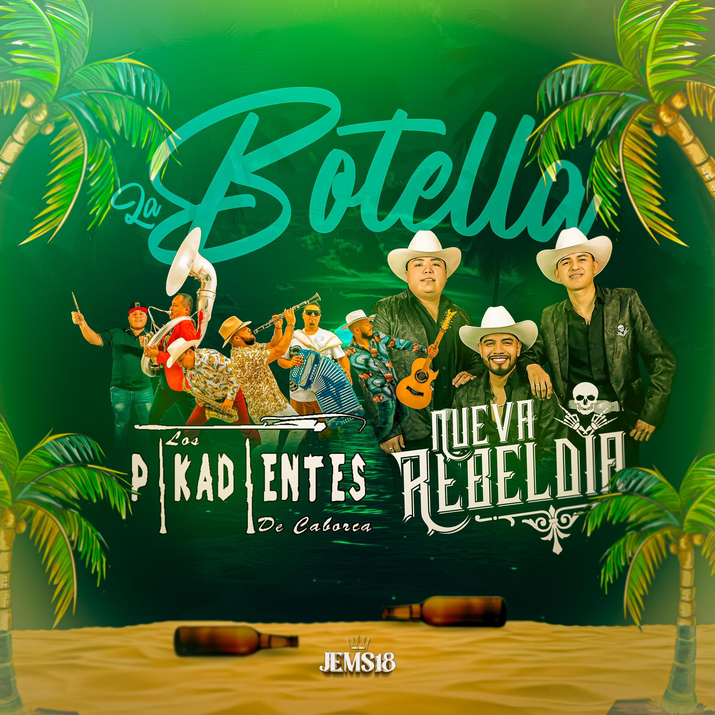 Nueva Rebeldía