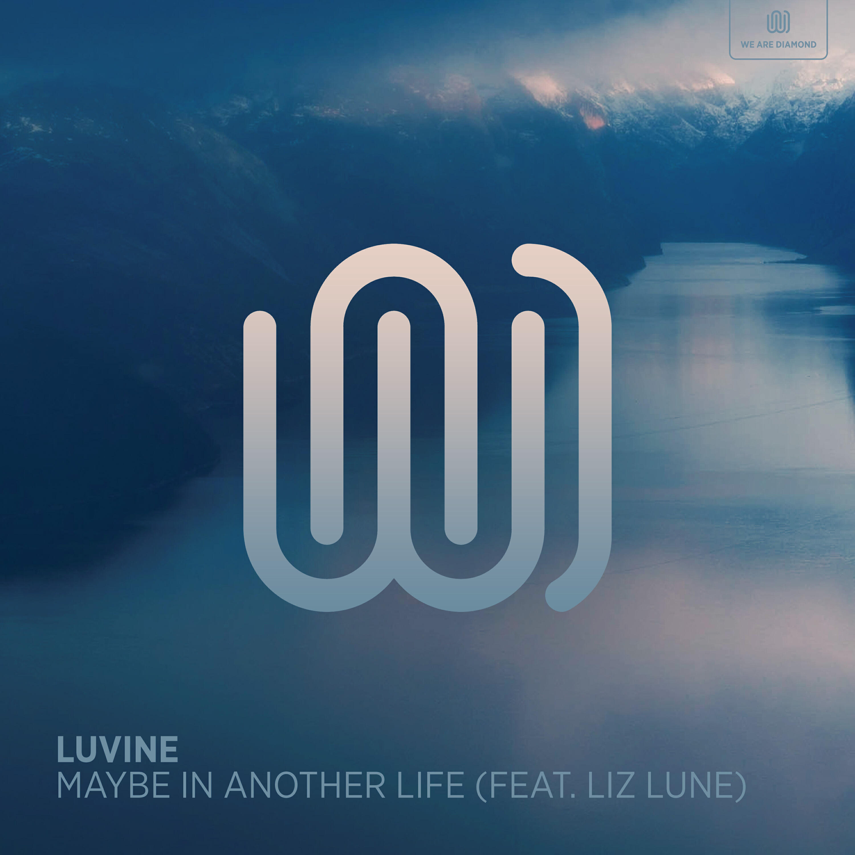 Релиз Maybe in Another Life