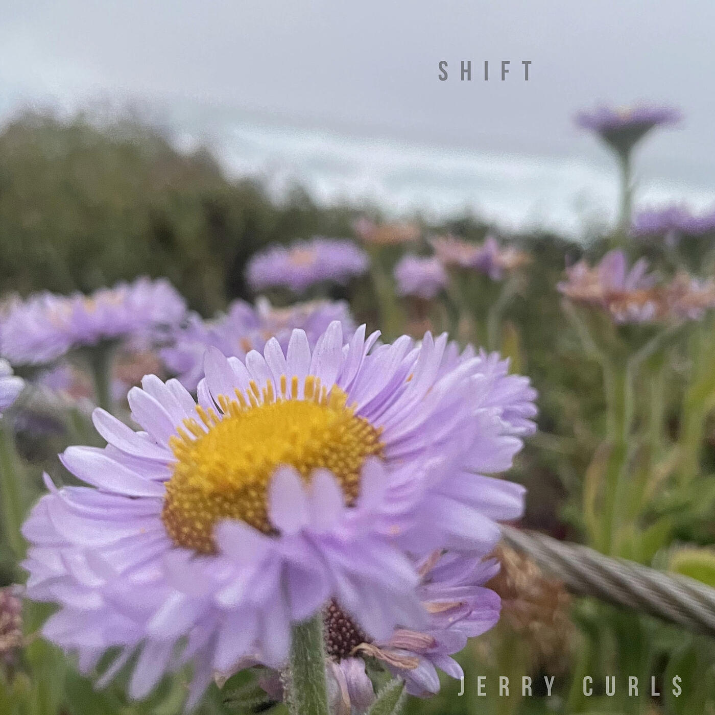 Релиз Shift
