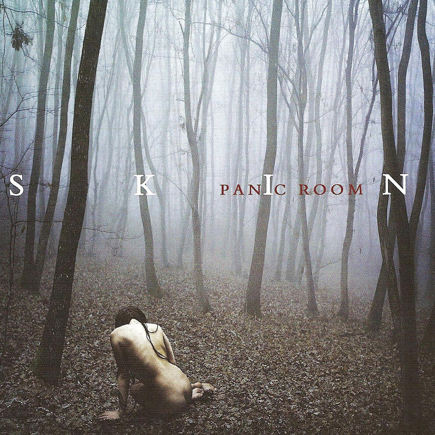 Релиз Skin