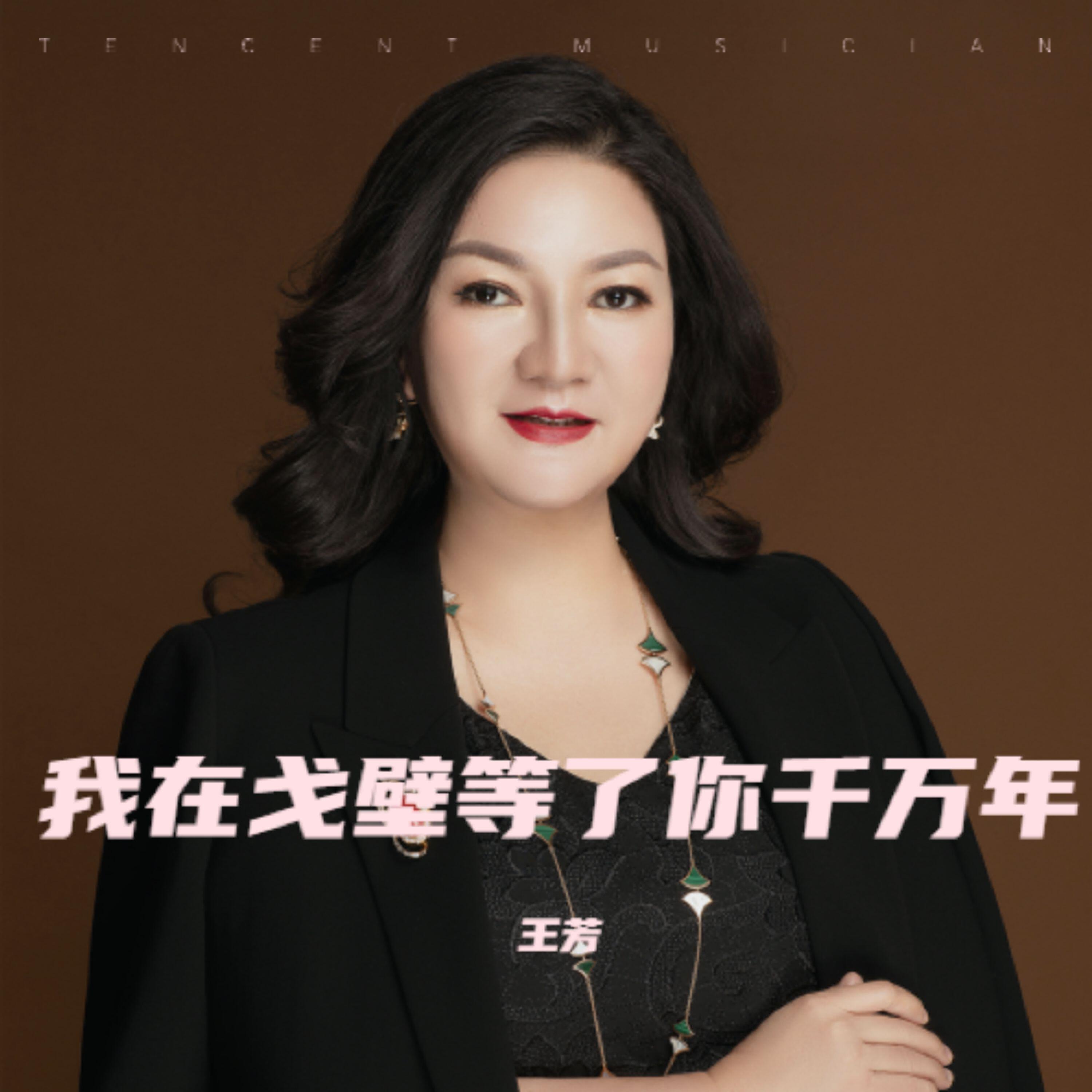 Релиз 我在戈壁等了你千万年