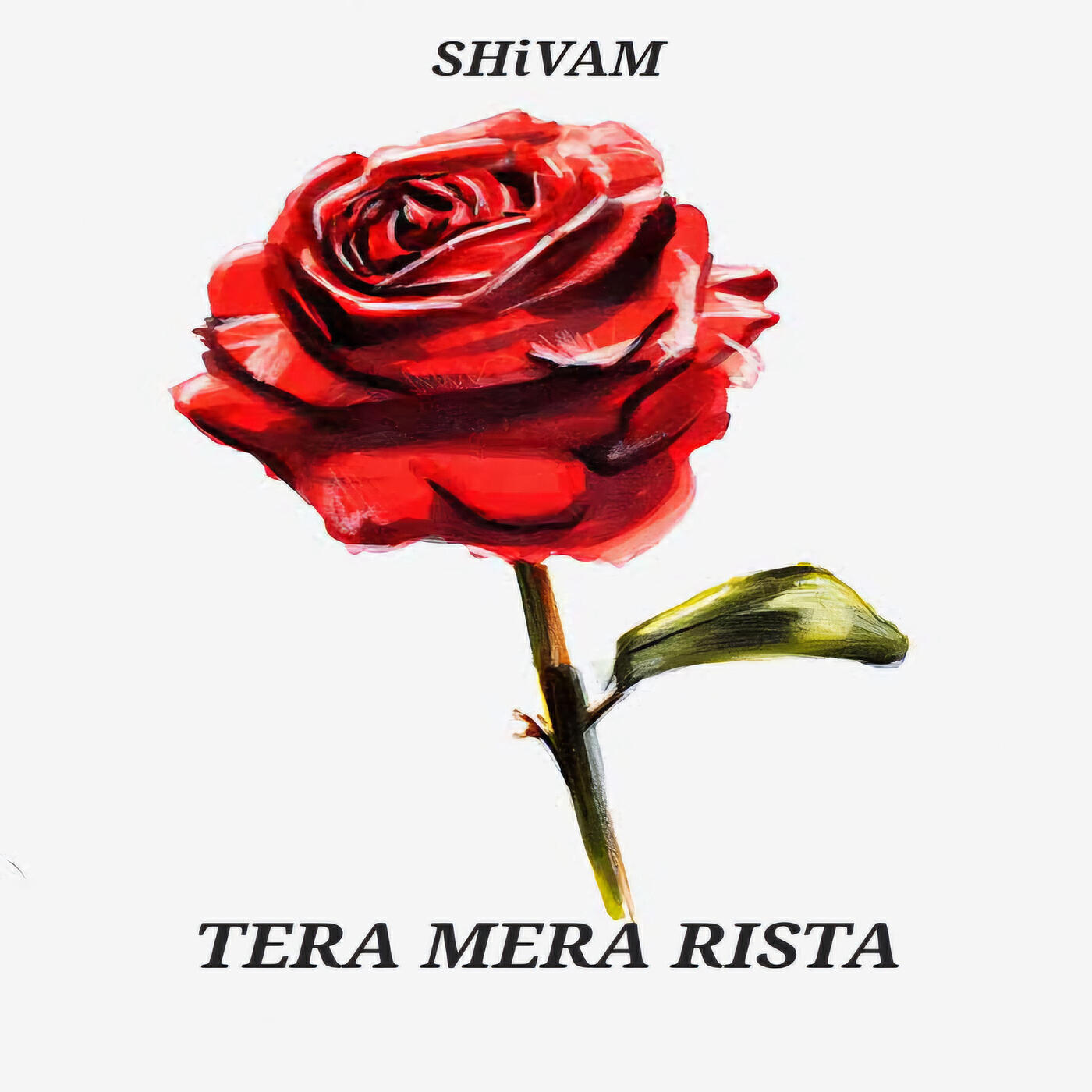 Релиз Tera Mera Rishta