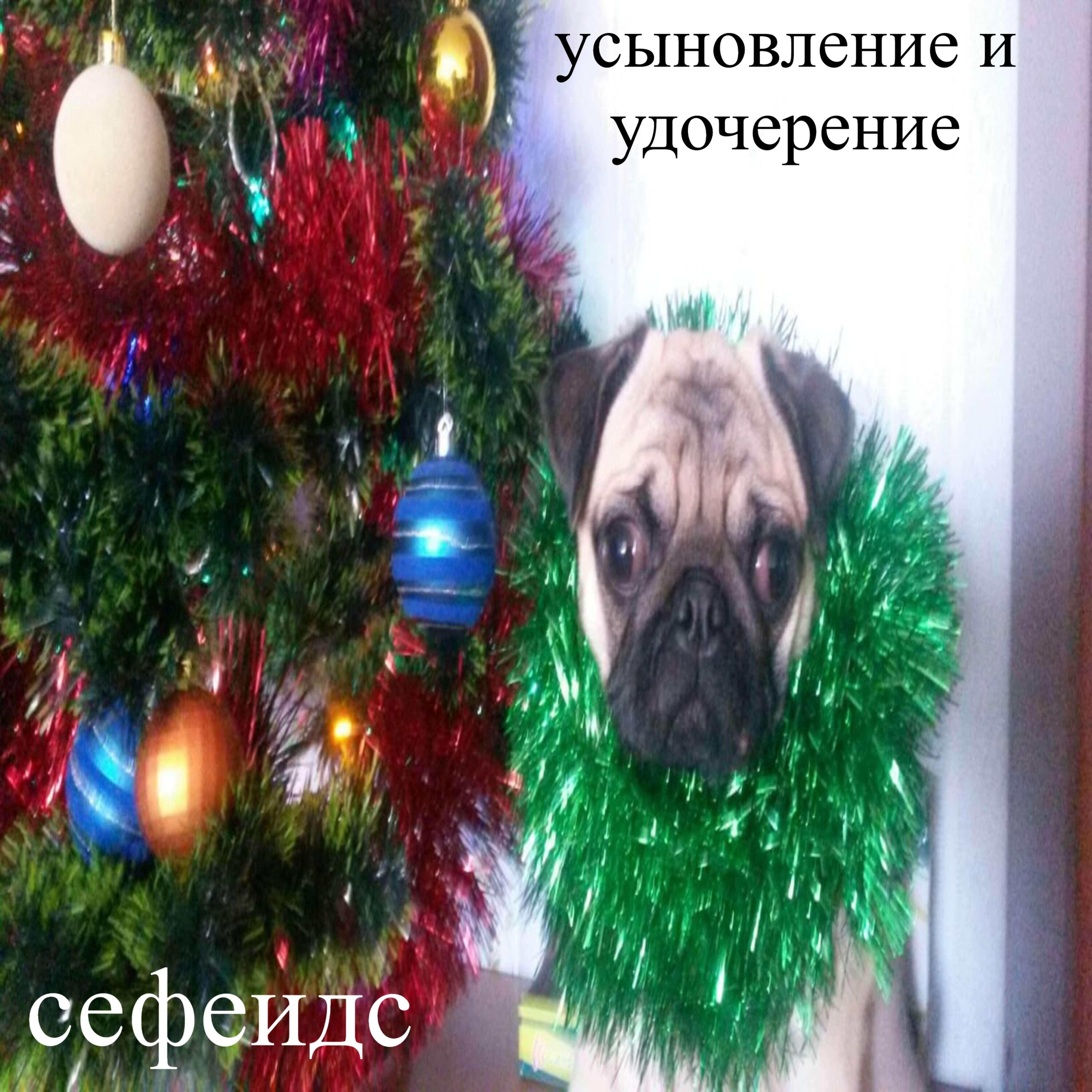 Релиз усыновление и удочерение