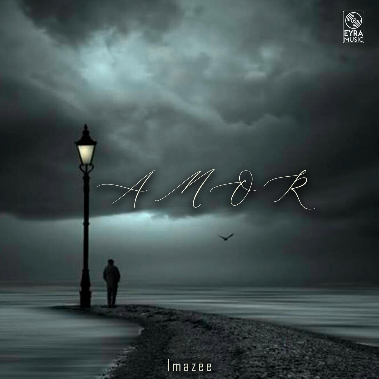 Постер альбома Amor