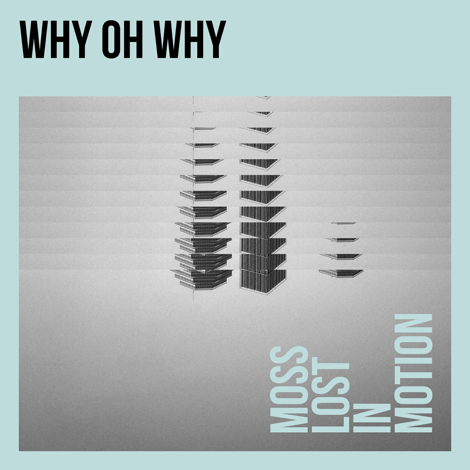Релиз Why Oh Why