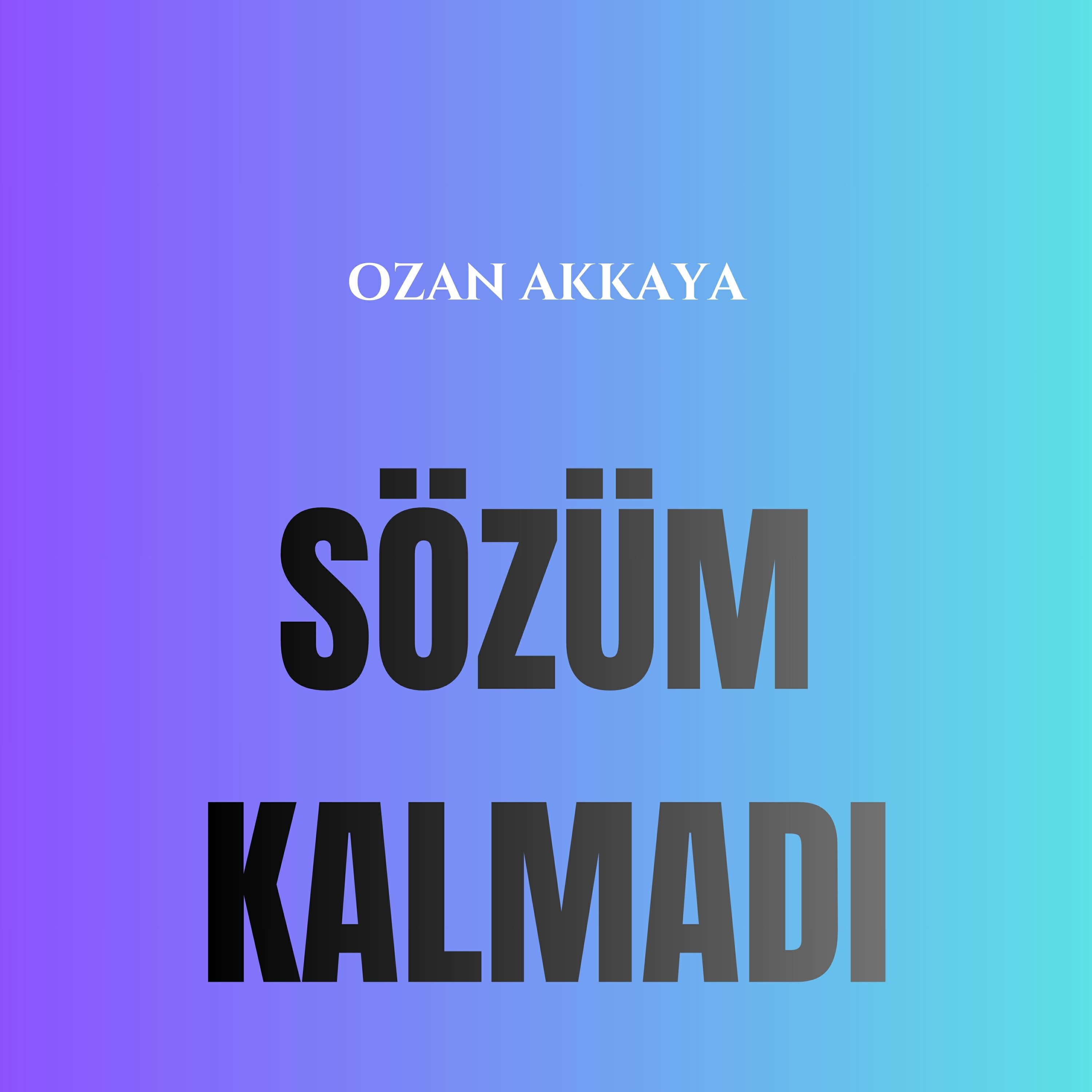 Ozan Akkaya